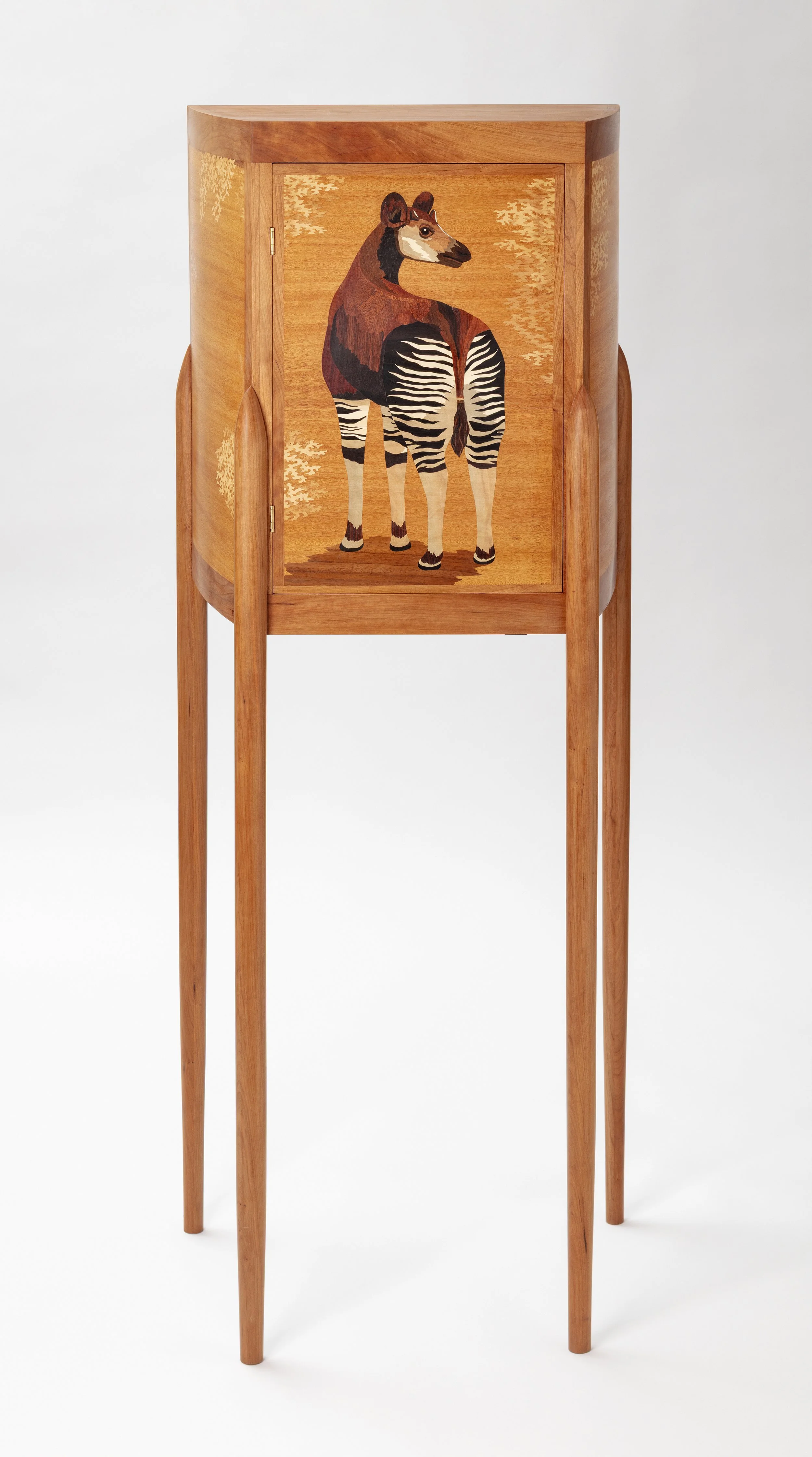 Full-length photo of my okapi cabinet