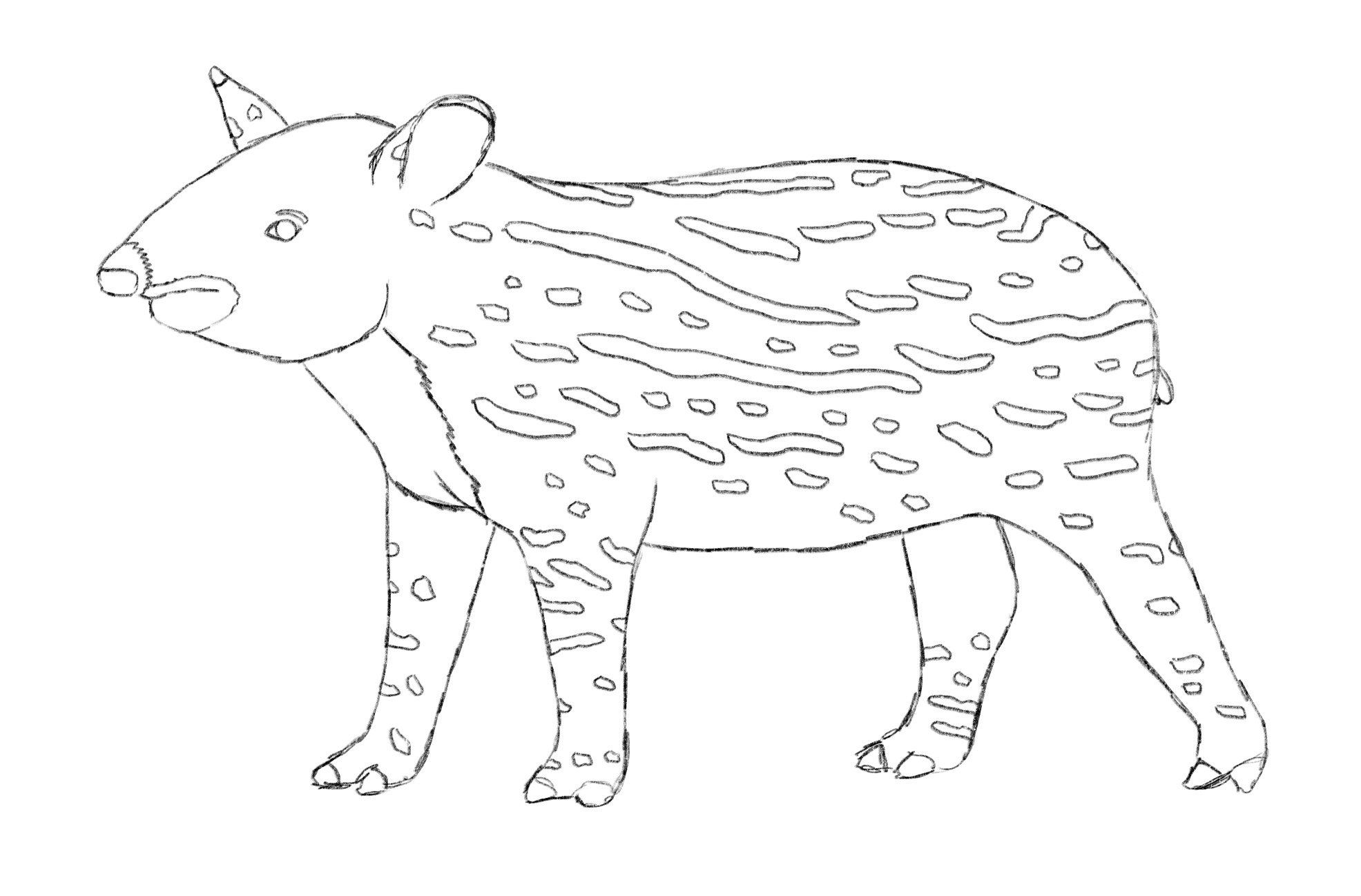 Simple black-and-white line drawing of a baby tapir