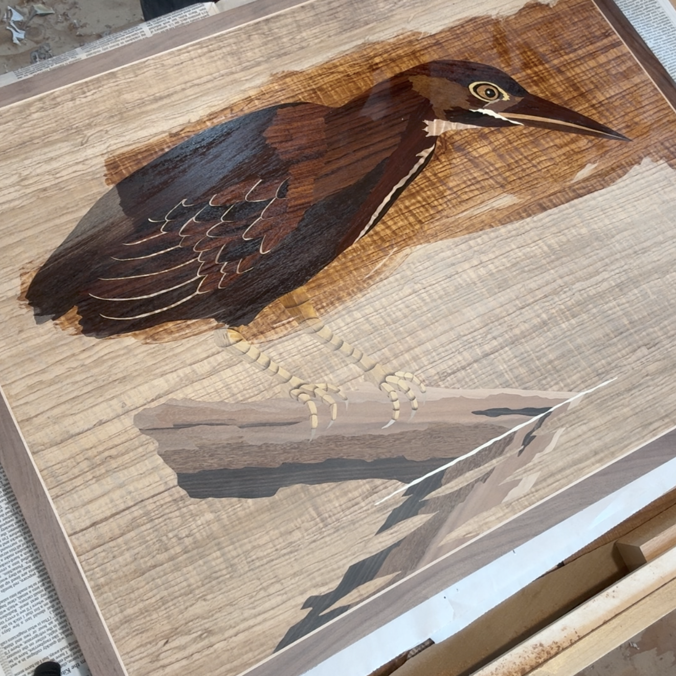 Oiling Video: Green Heron Panel