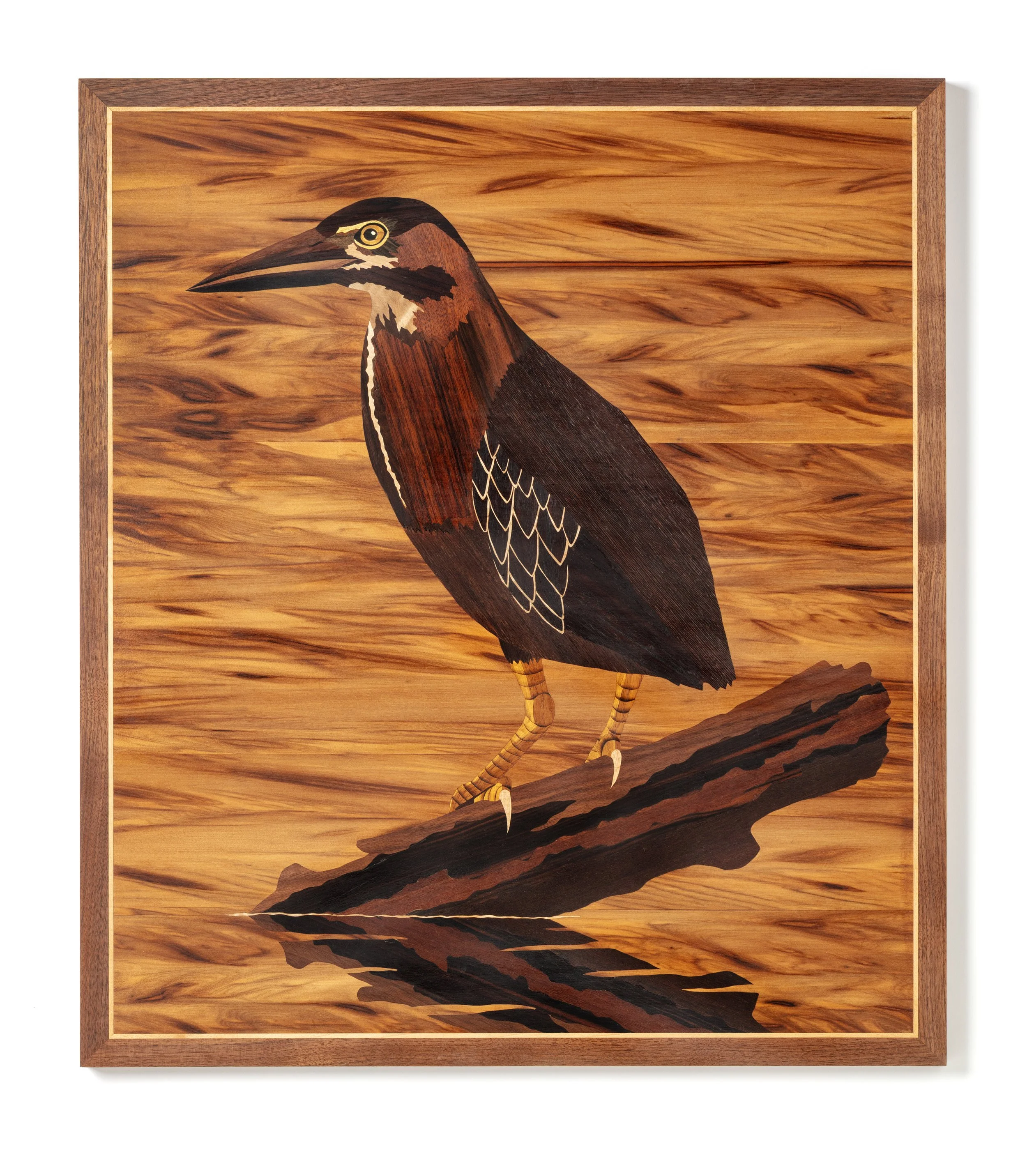 Green Heron, 2025 (Photo: John Polak Photography)