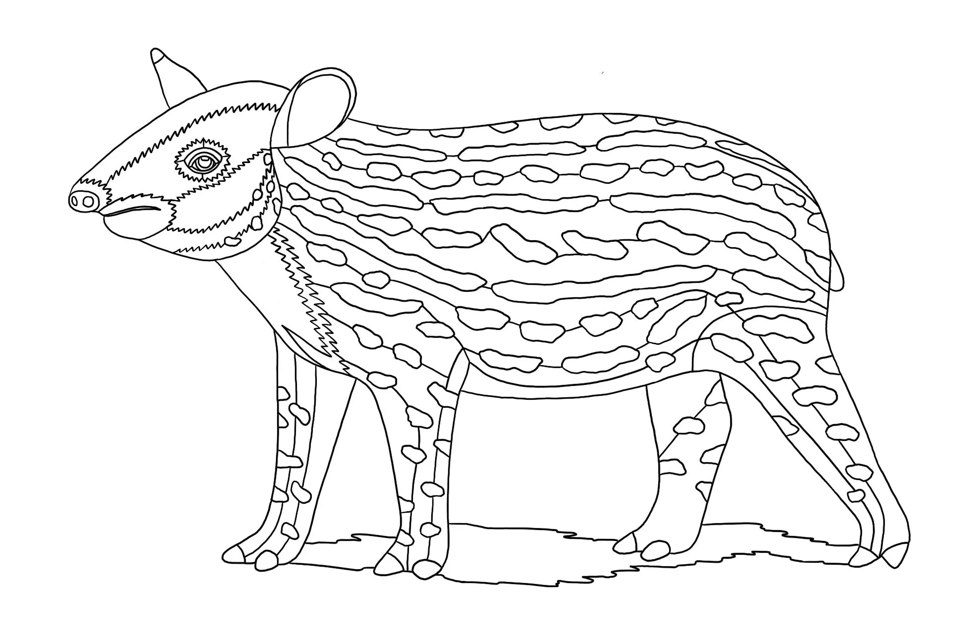 Line drawing of the baby tapir