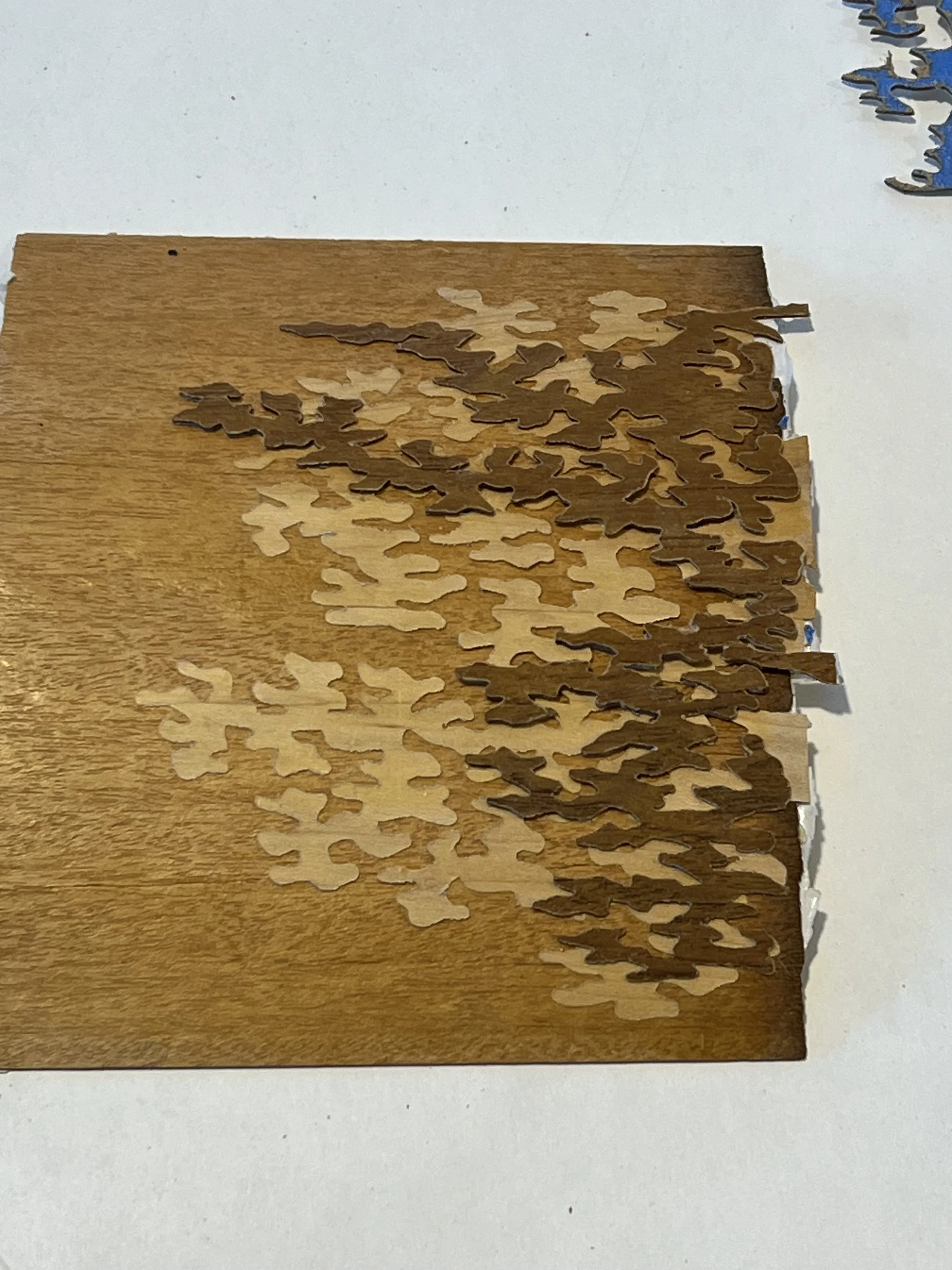 Test piece for the foliage pattern