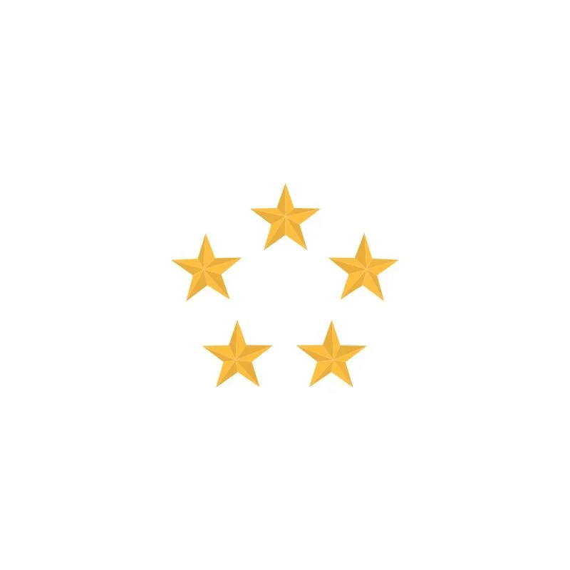 Five Stars.jpeg