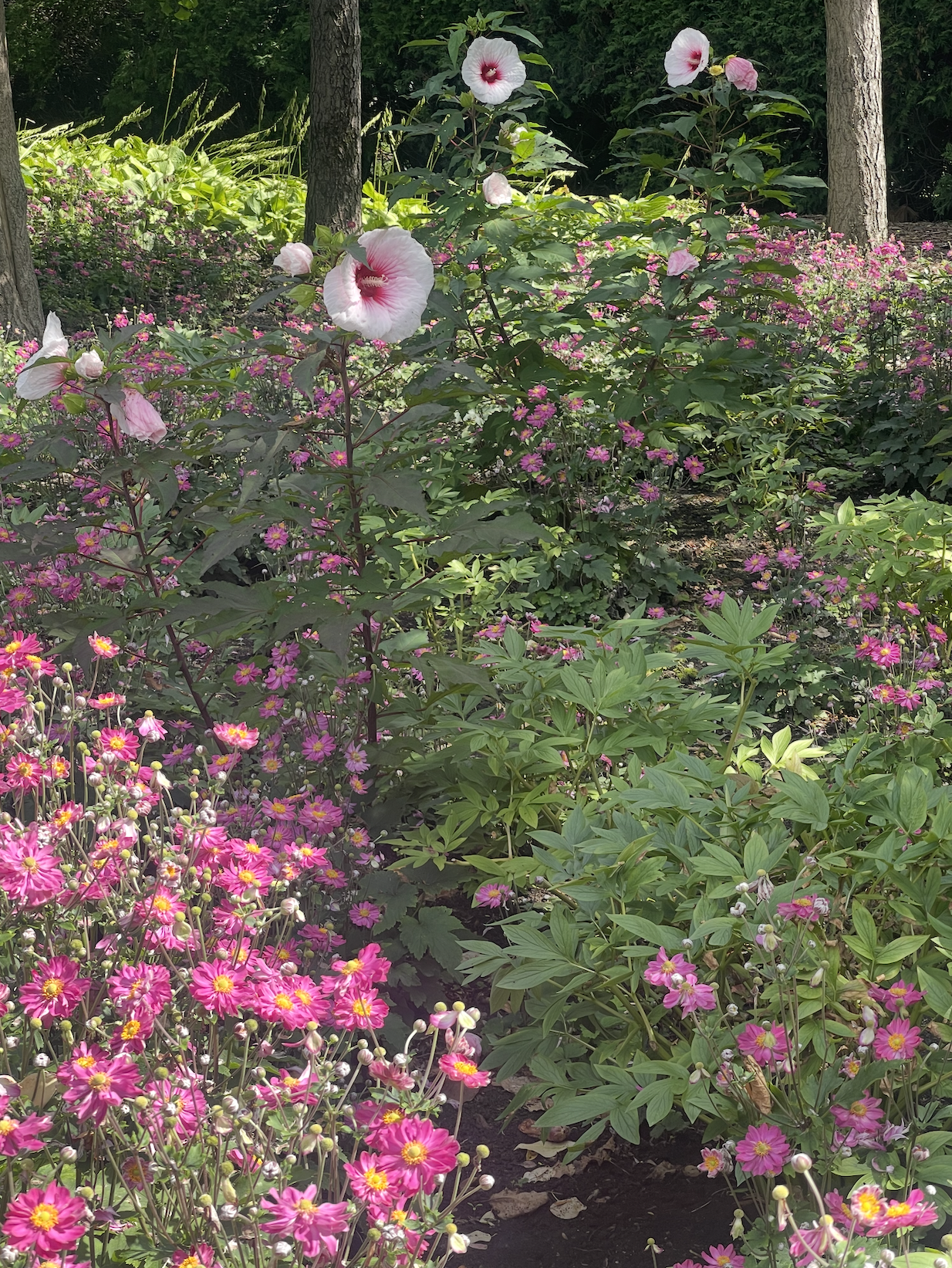 VT Garden Design Fall Flowers.png