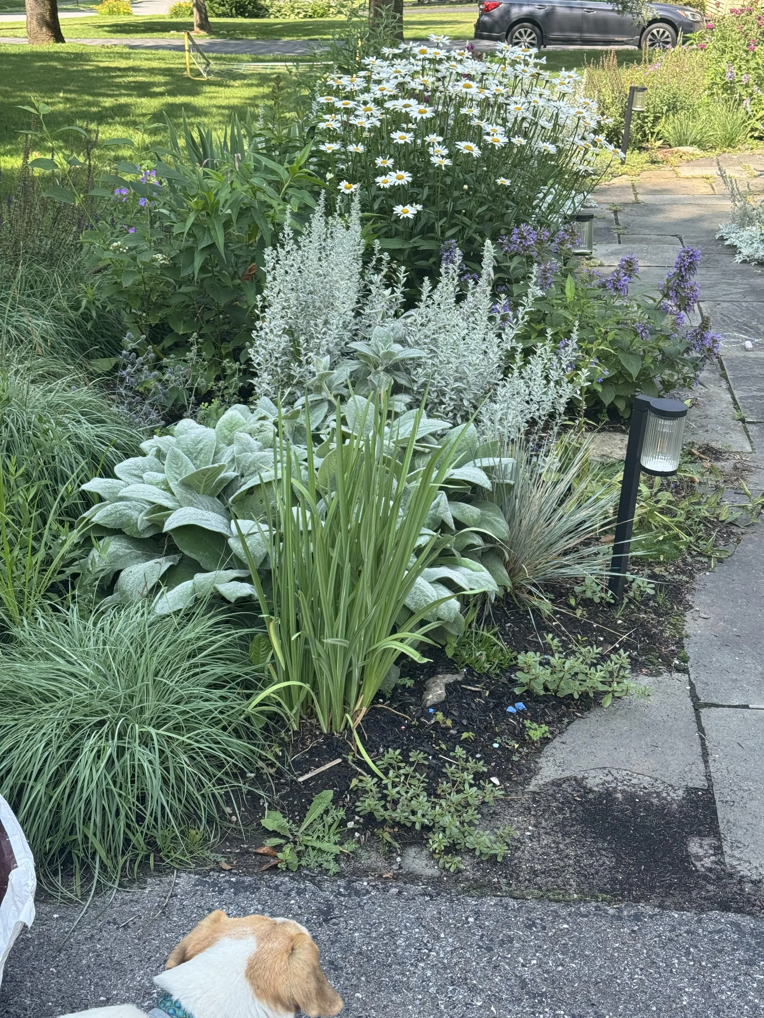 After Walked Vermont Garden Design.jpg