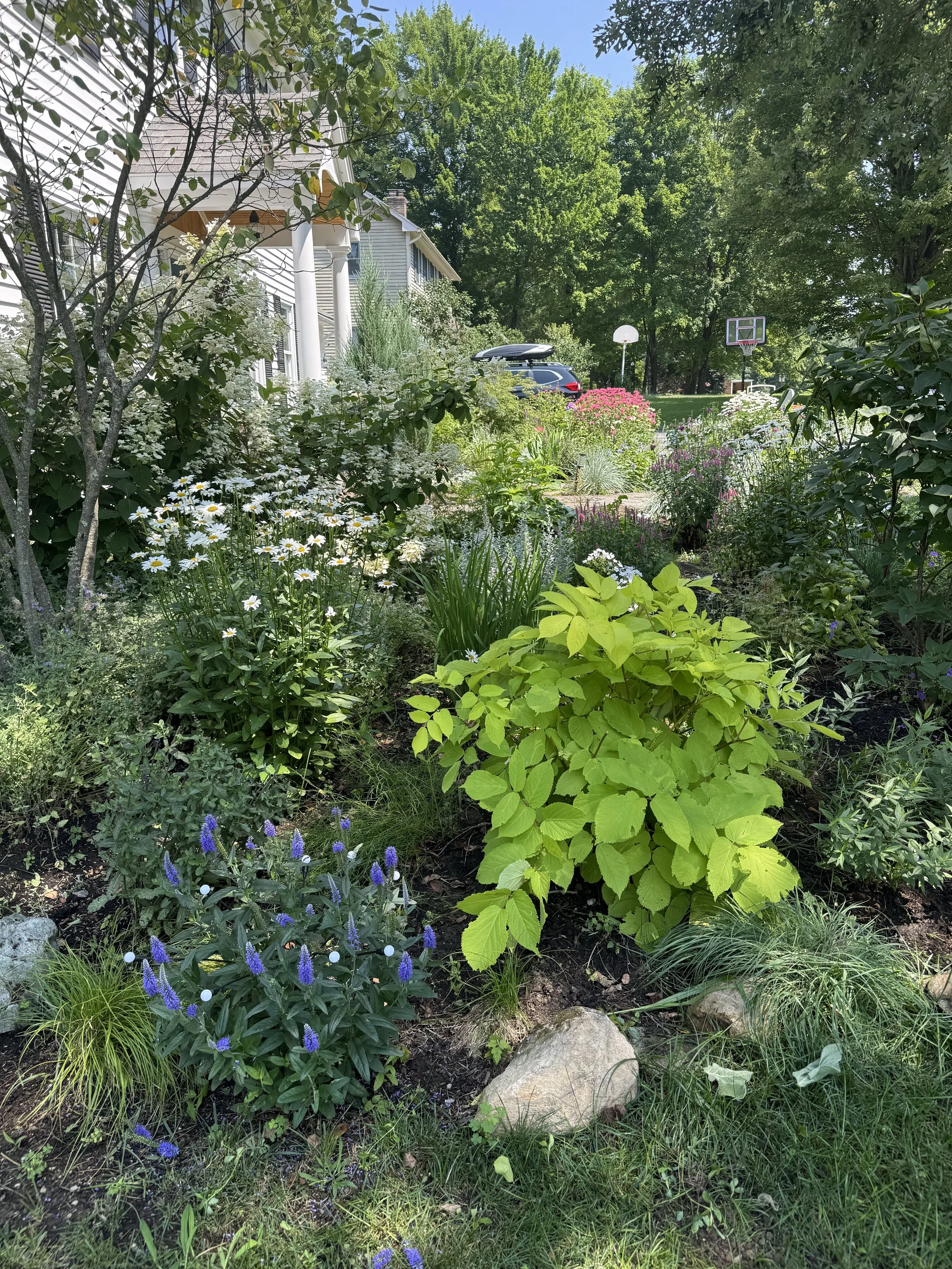 After Part Shade Vermont Garden Design.jpg
