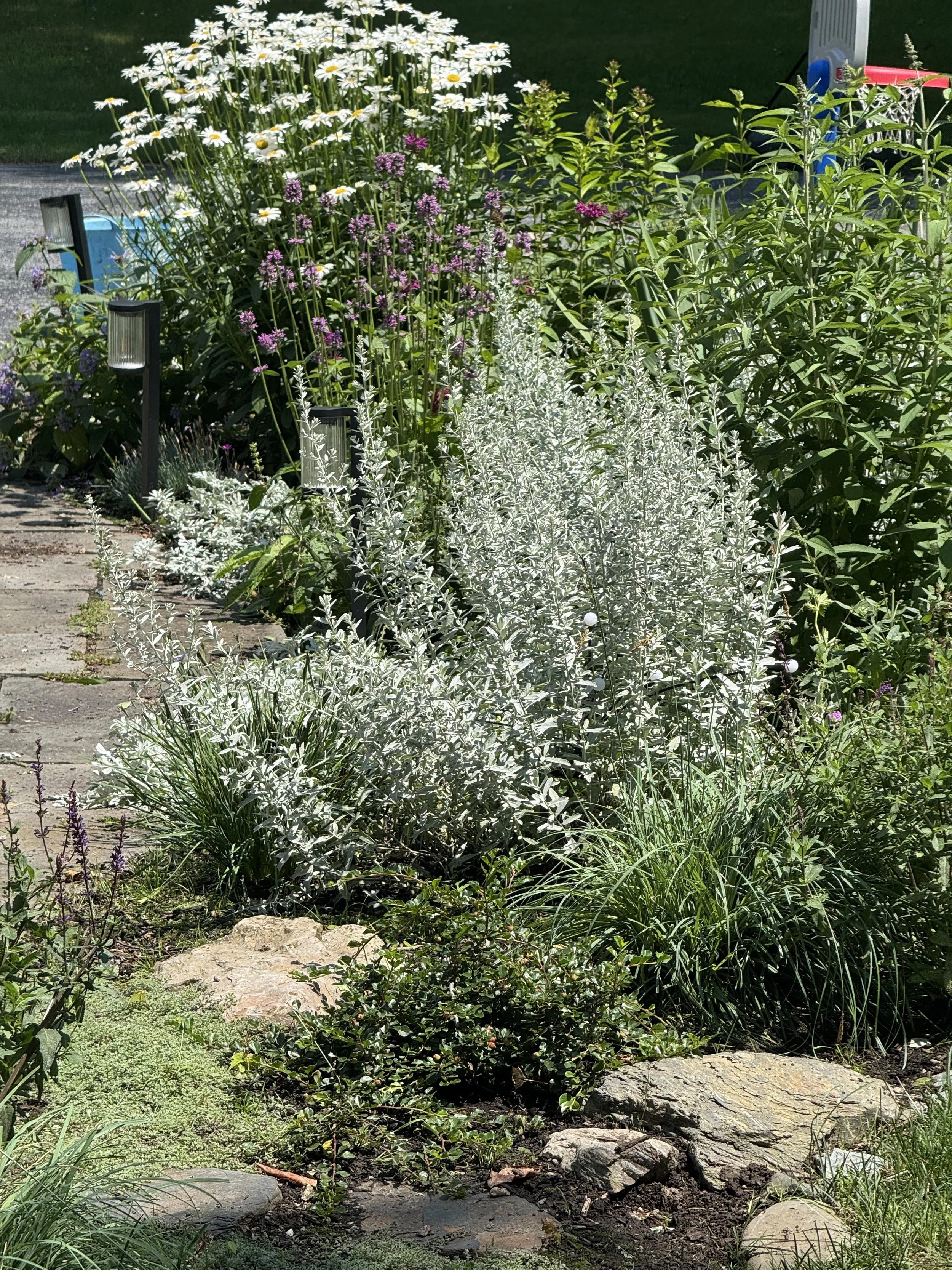 Amand'a After Walkway Vermont Garden Design.jpg