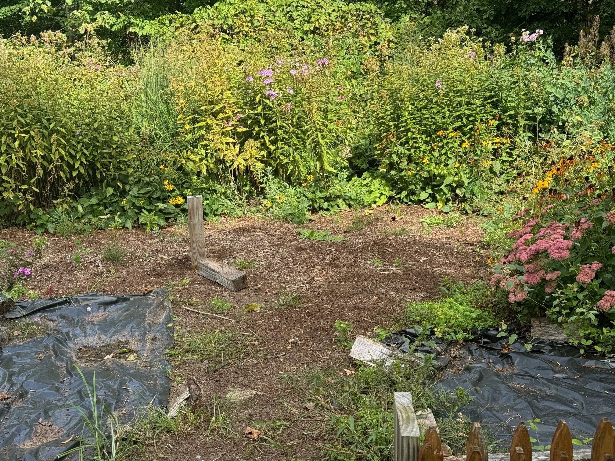 English Cottage Garden 1.jpeg