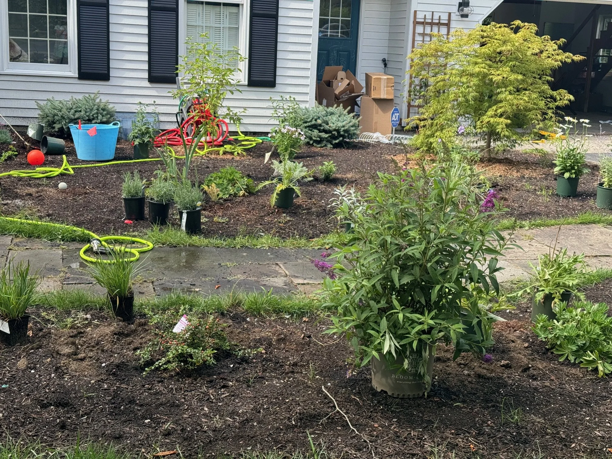 Garden Establishment.jpeg