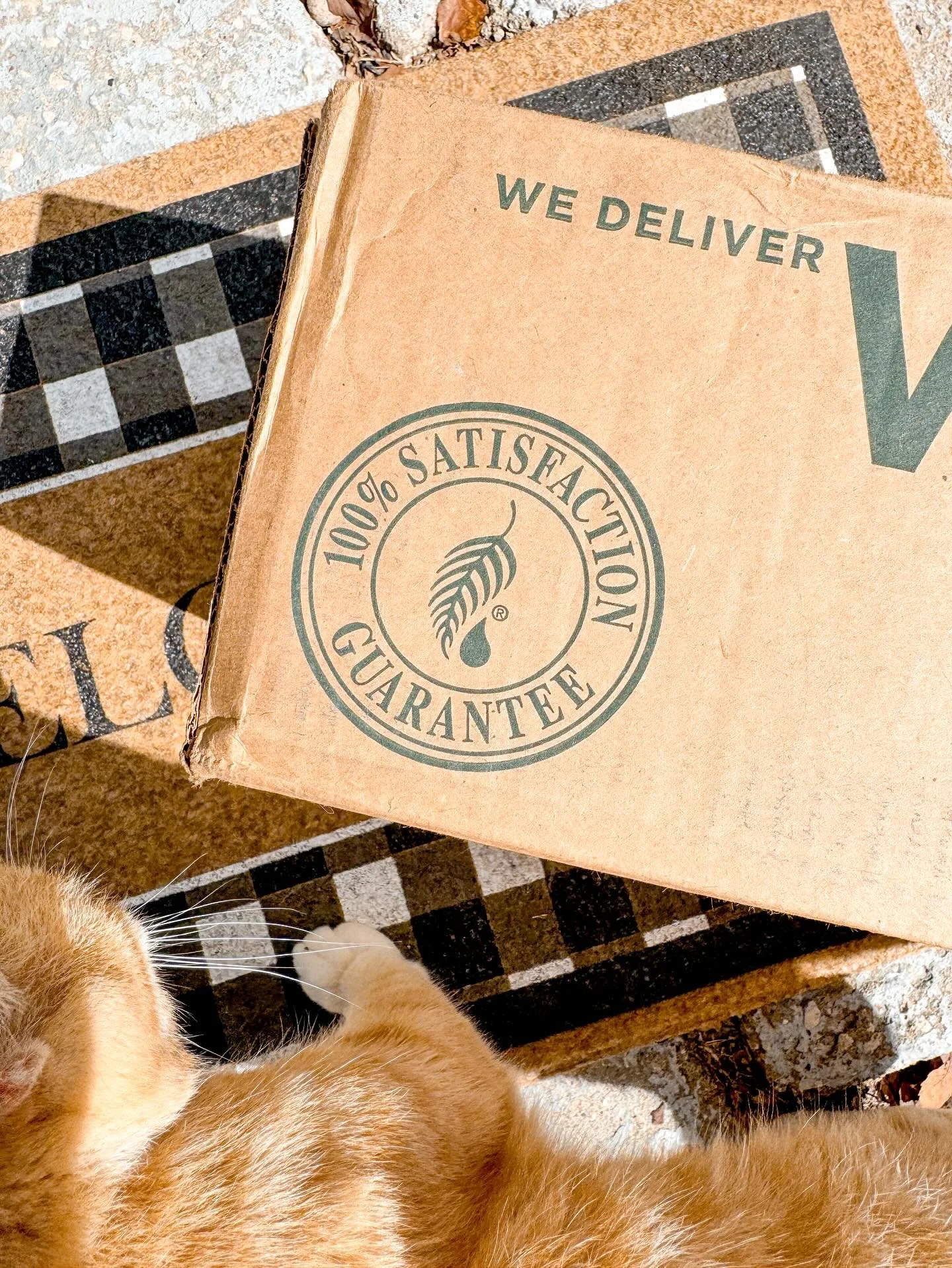 It&rsquo;s always an exciting day when I get a box filled with products from my new favorite wellness store! Cheddar is excited too!! 🐱❤️ 

We&rsquo;ve been trying to make cleaner choices when it comes to our cleaning products and laundry soaps. I h