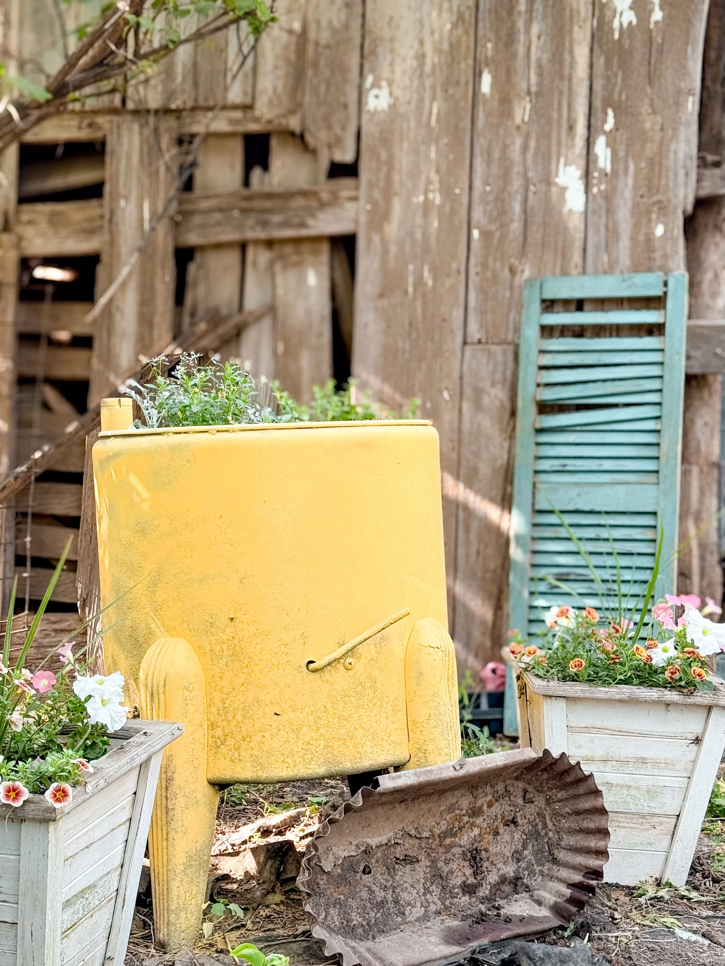 The cottage garden is slowly coming together 🐱🌸💕 And yes, I painted my washing machine yellow. I&rsquo;m kind of obsessed 💛
