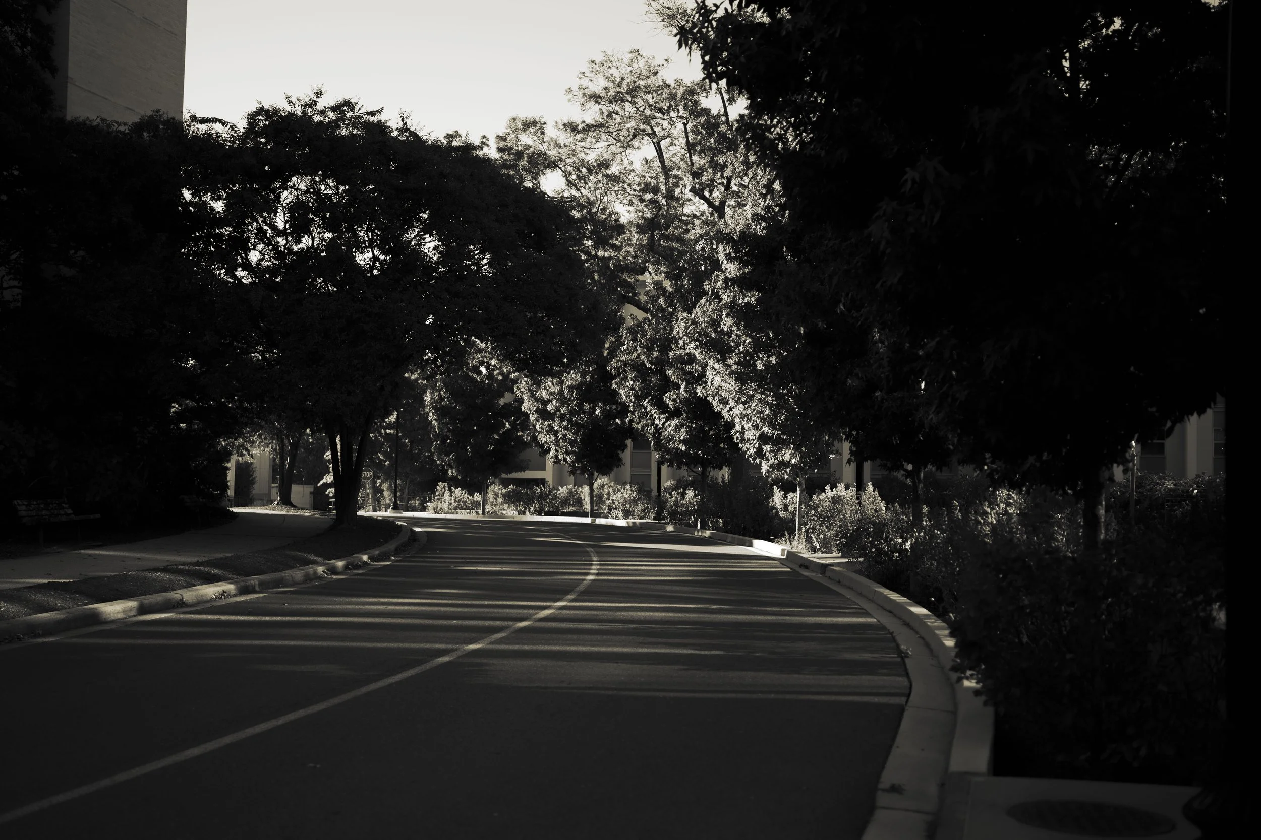 GR shadow essayrupp_15.JPG