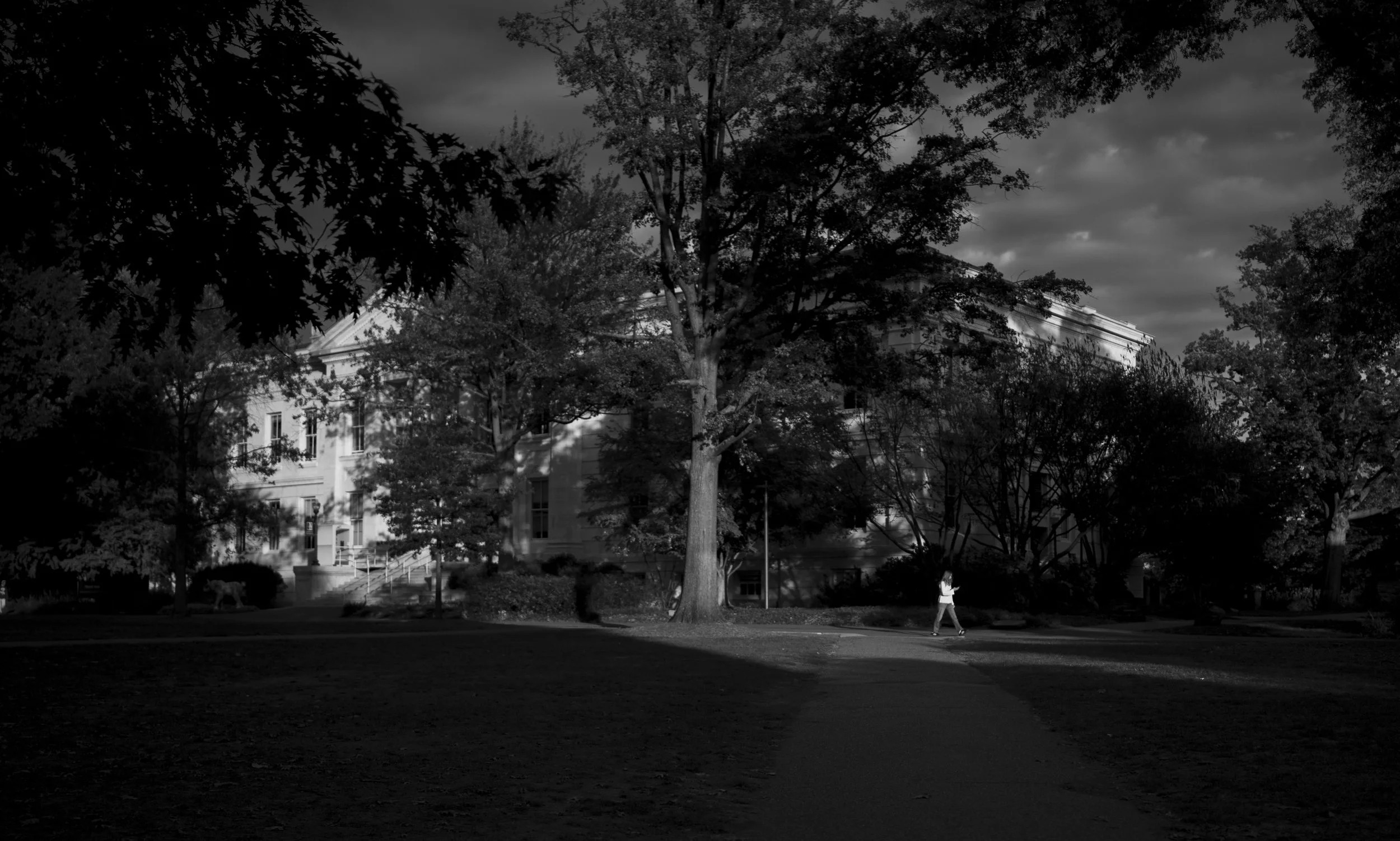 GR shadow essayrupp_5.JPG