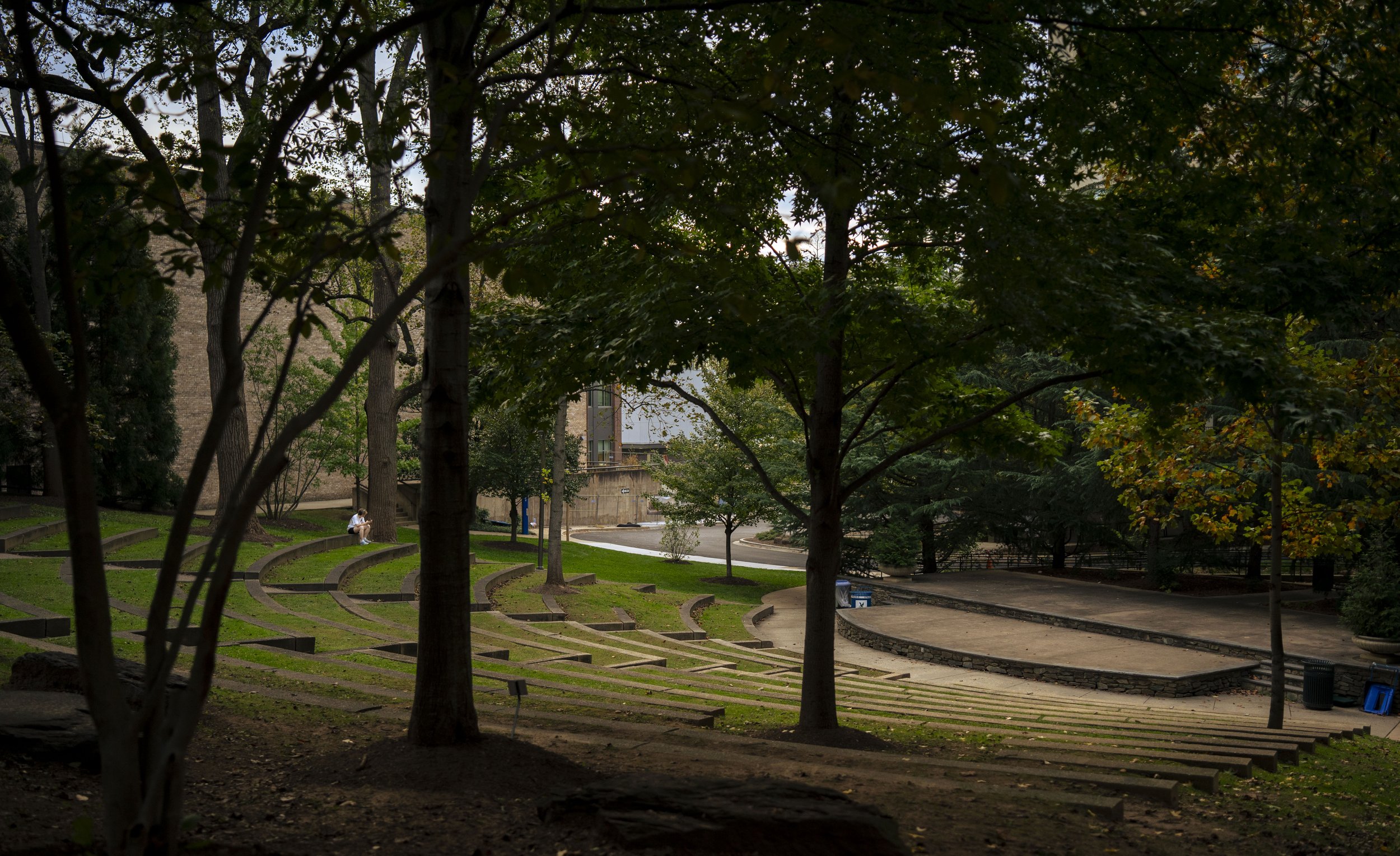 GR shadow essayrupp_4.JPG