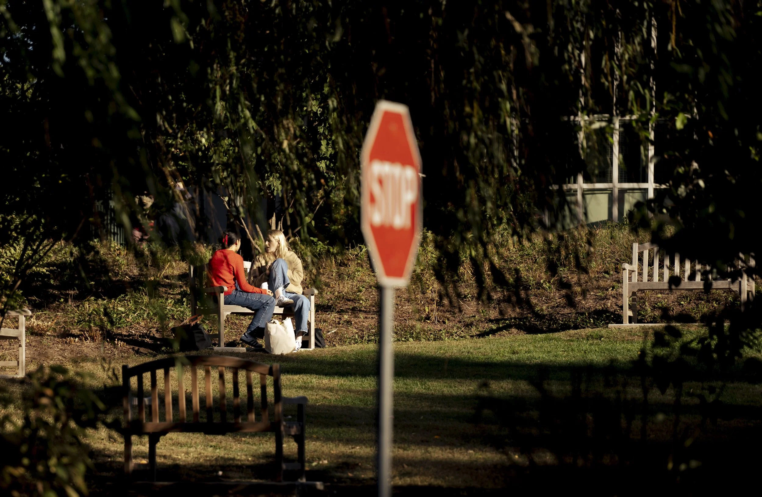 GR shadow essayrupp_6.JPG