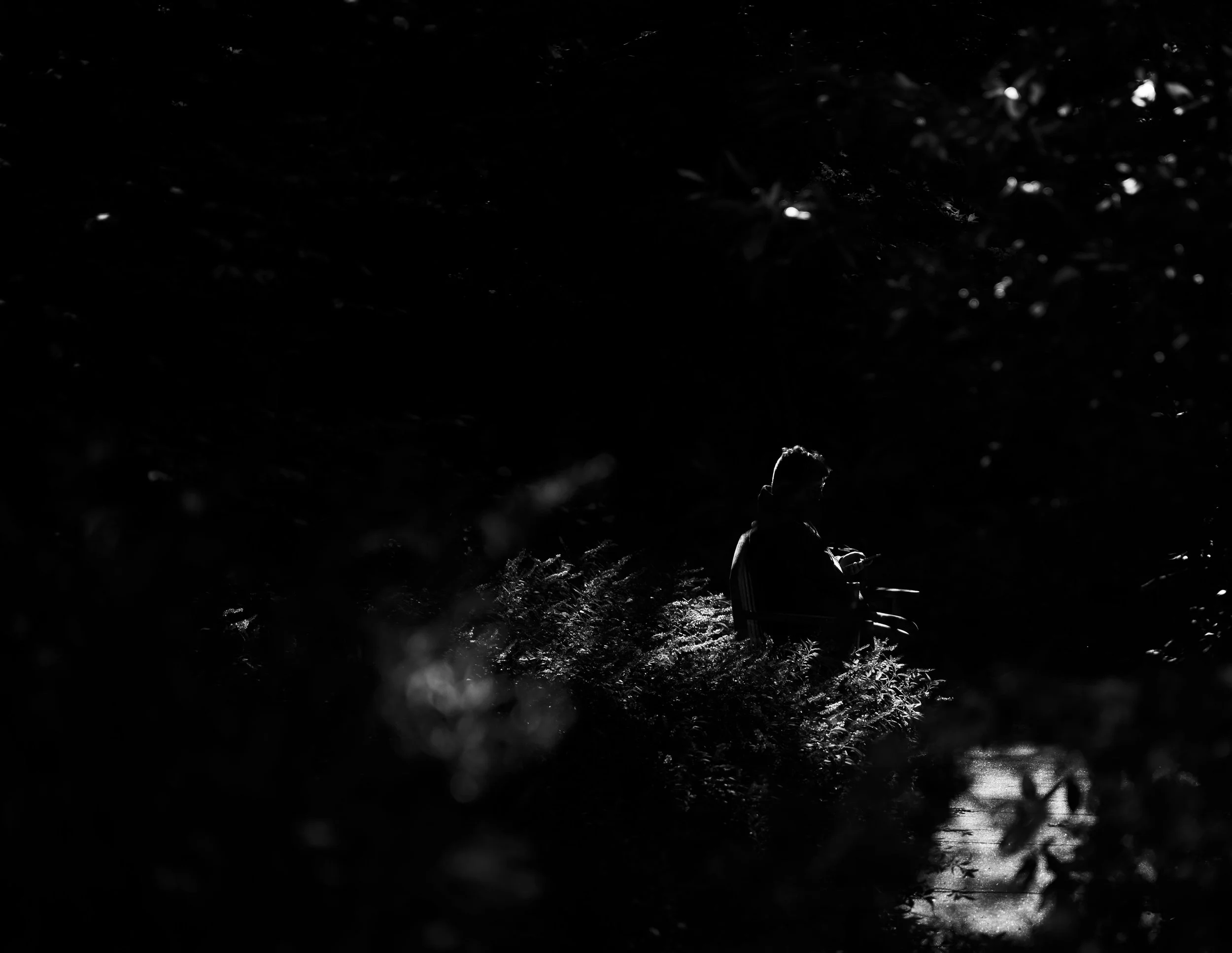 GR shadow essayrupp_1.JPG