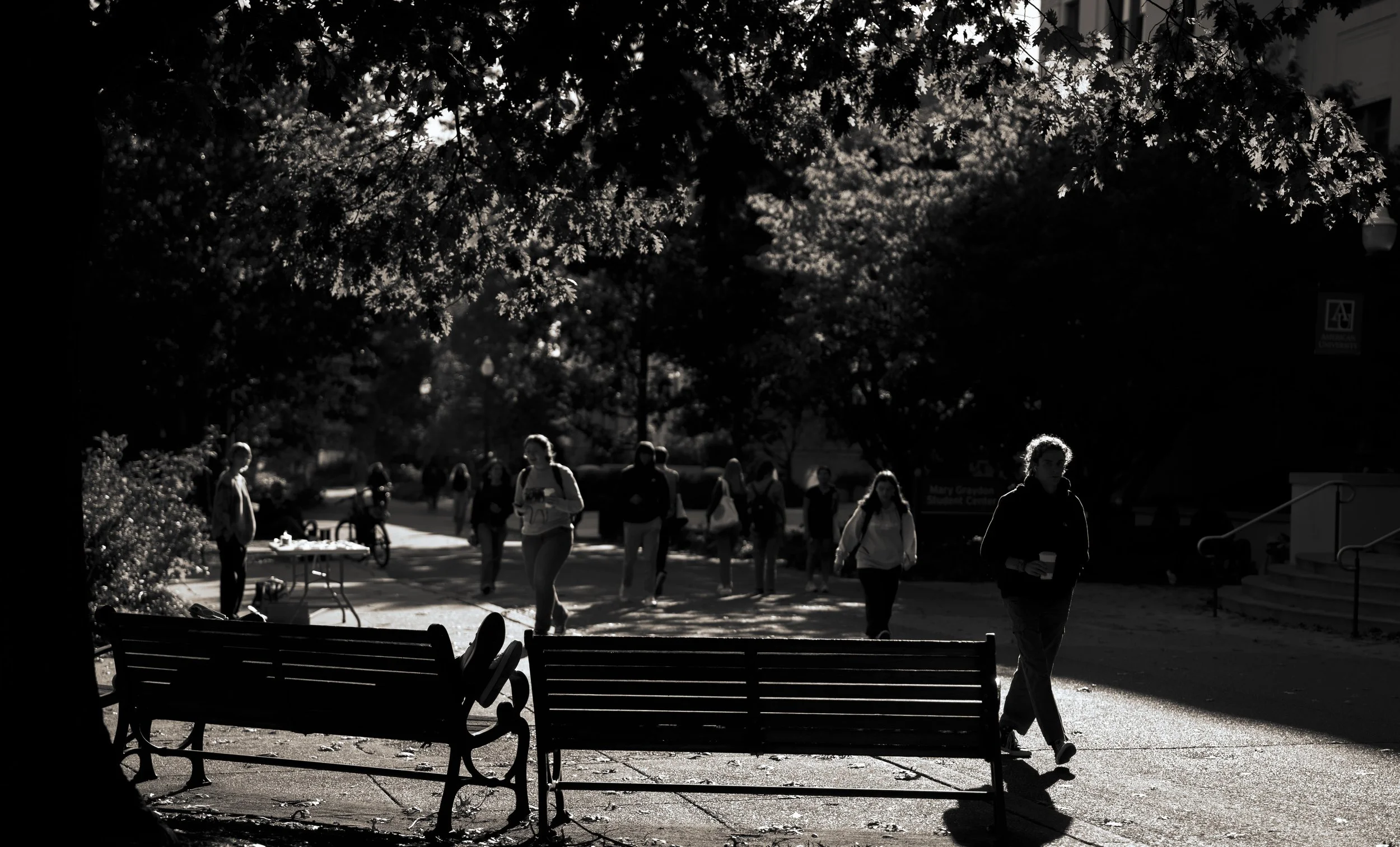 GR shadow essayrupp_2.JPG