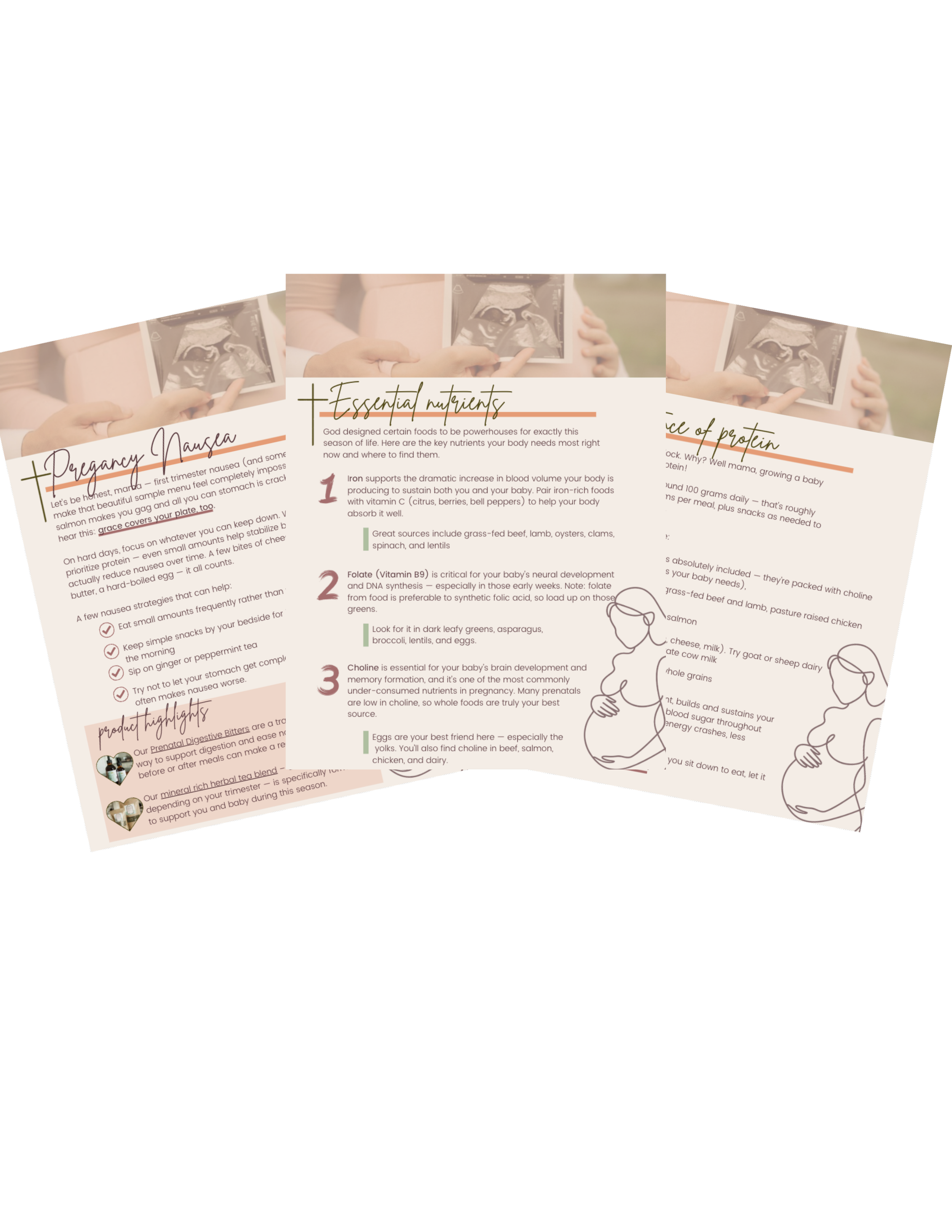 pregnancy nutrition guide_image.png