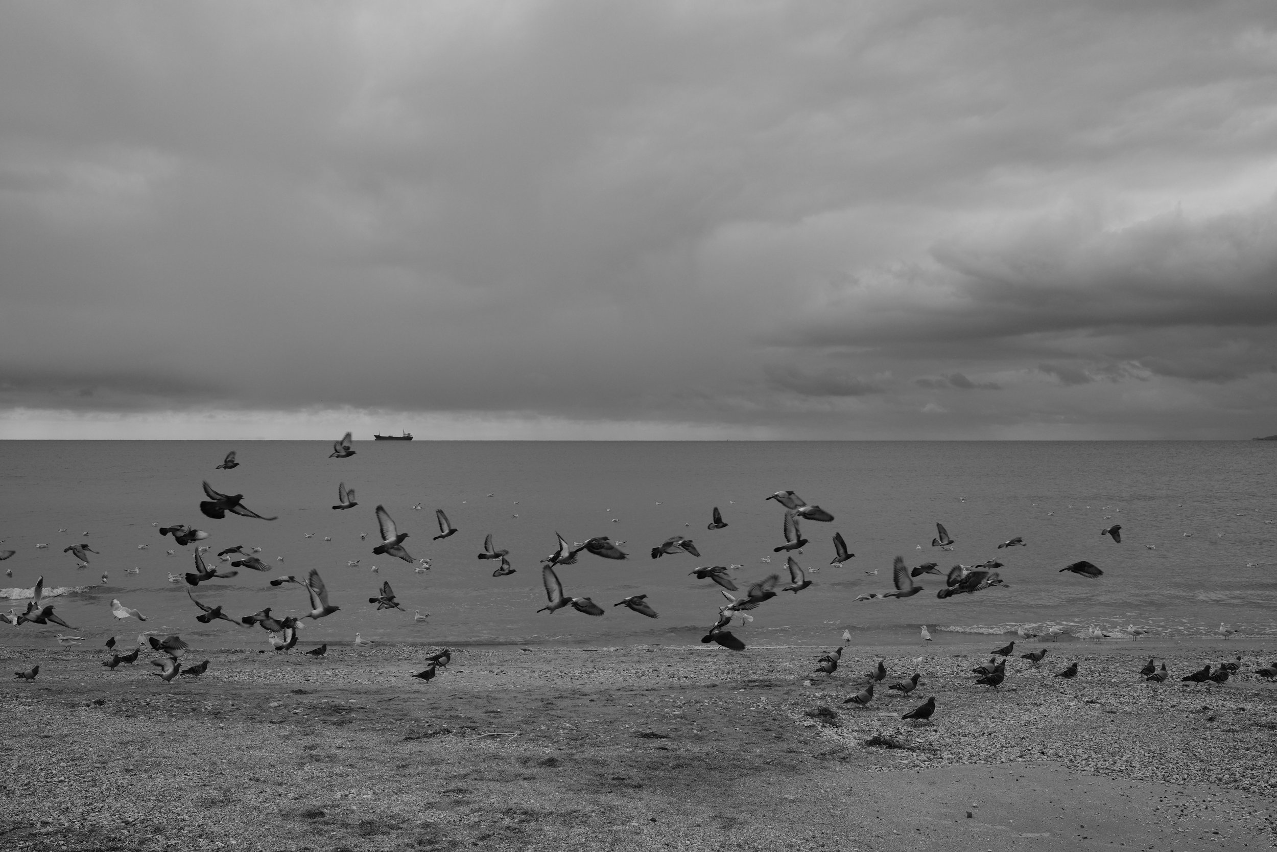 DSCF2573.JPG