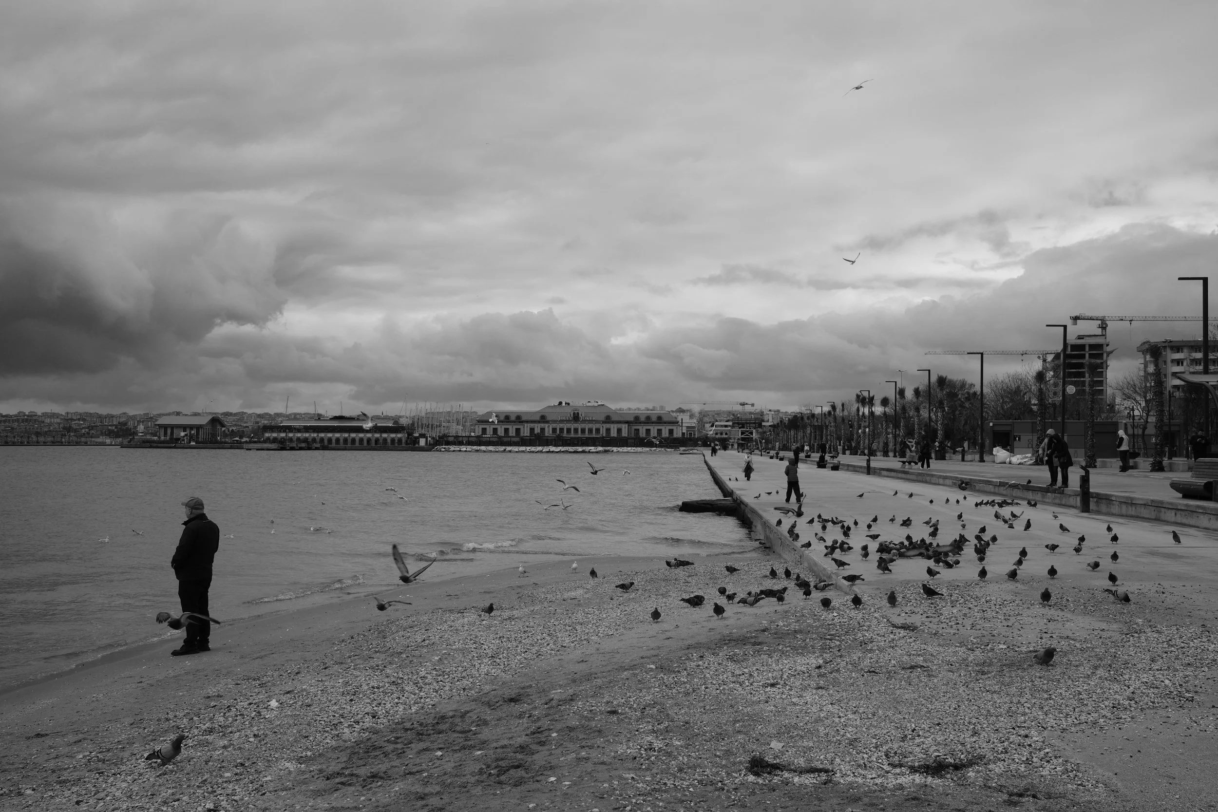 DSCF2579.JPG
