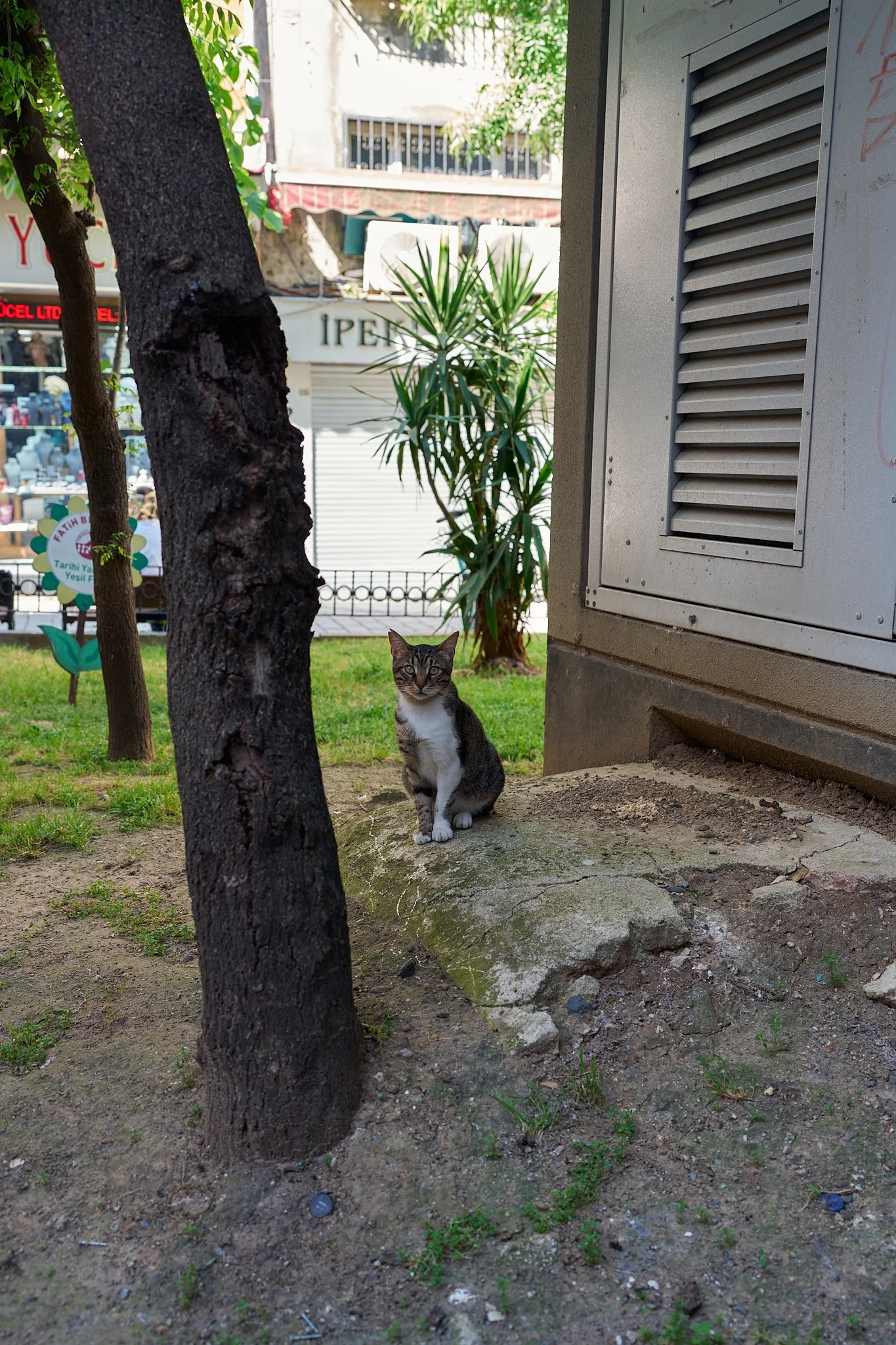 DSC04435.jpg