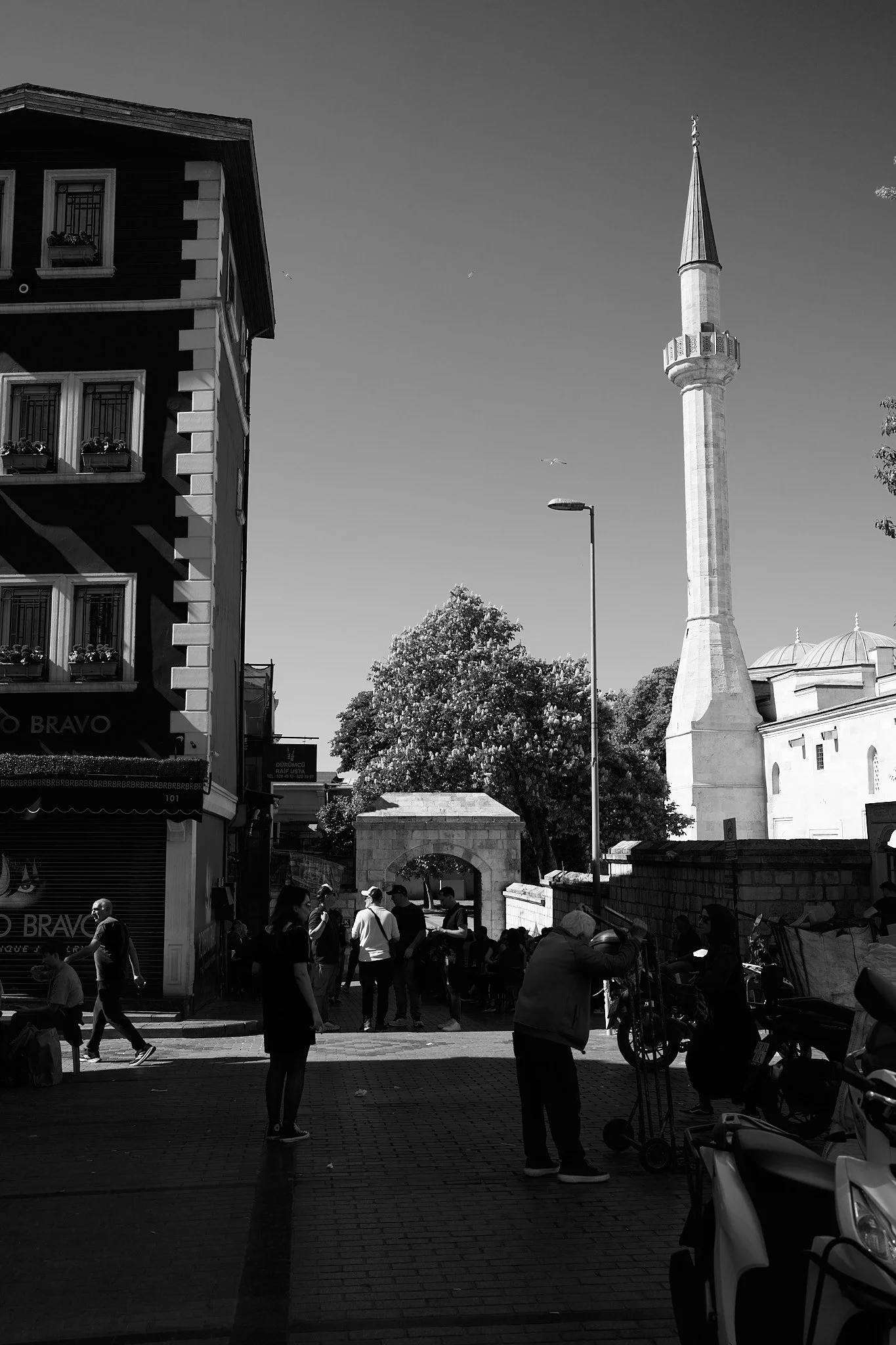 DSC04451.jpg