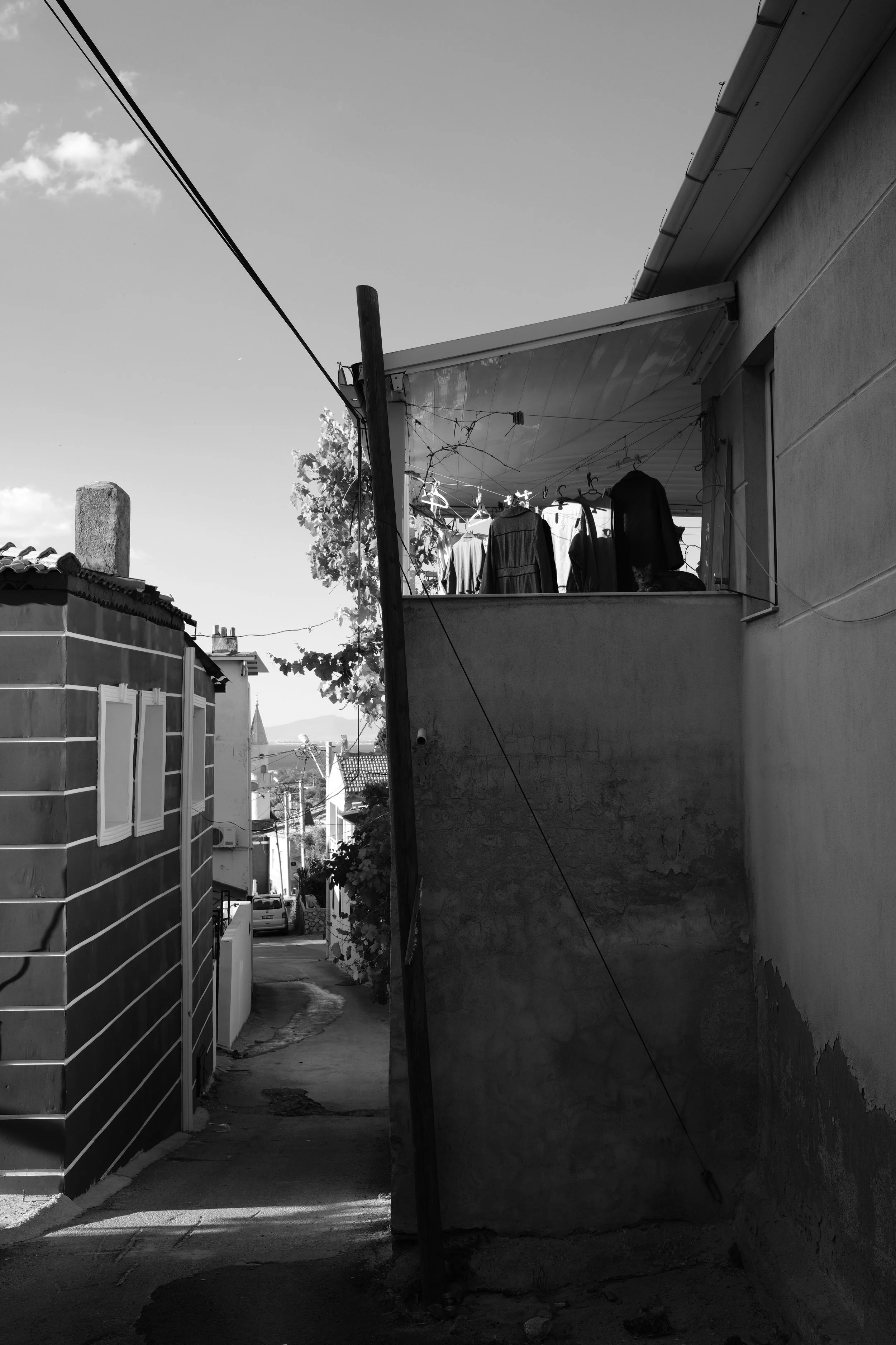 DSCF3217.jpg