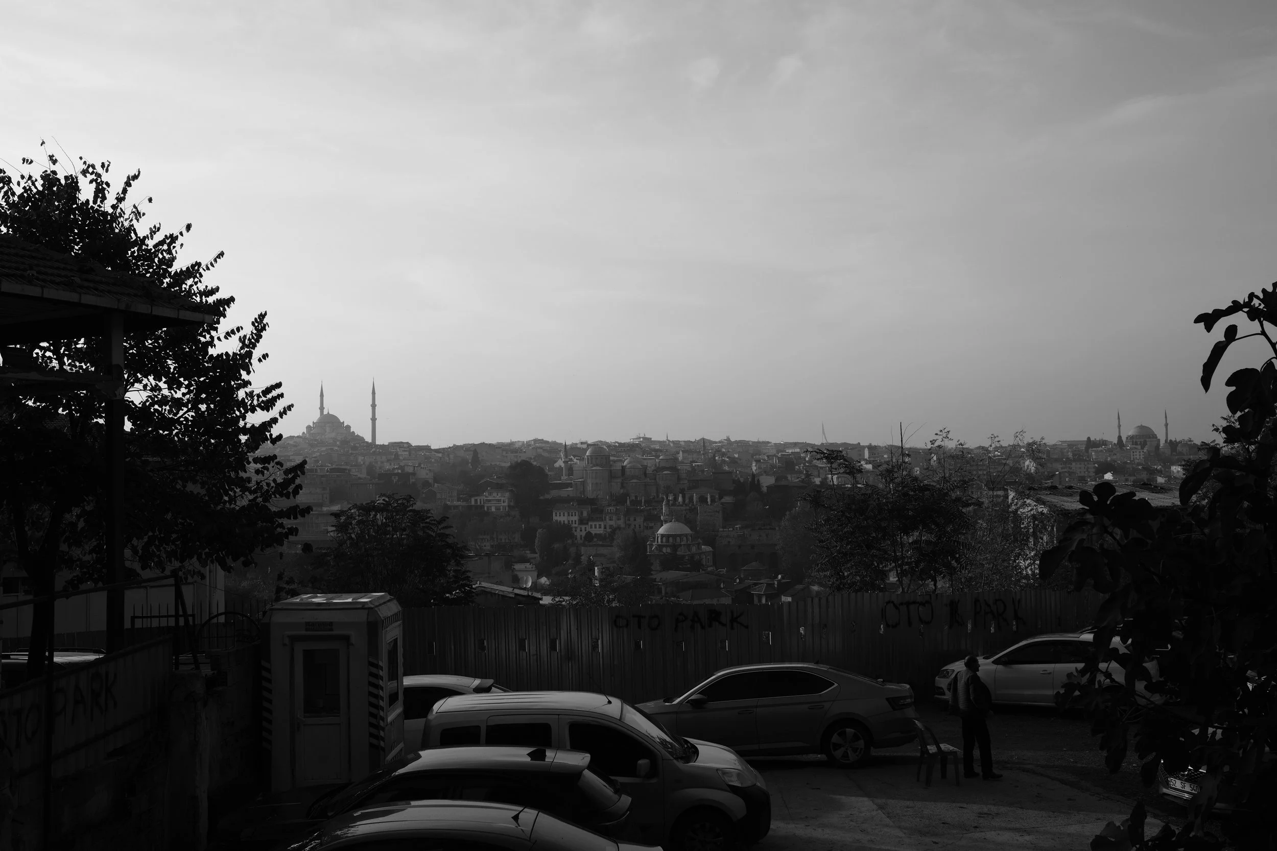 DSCF2126.JPG