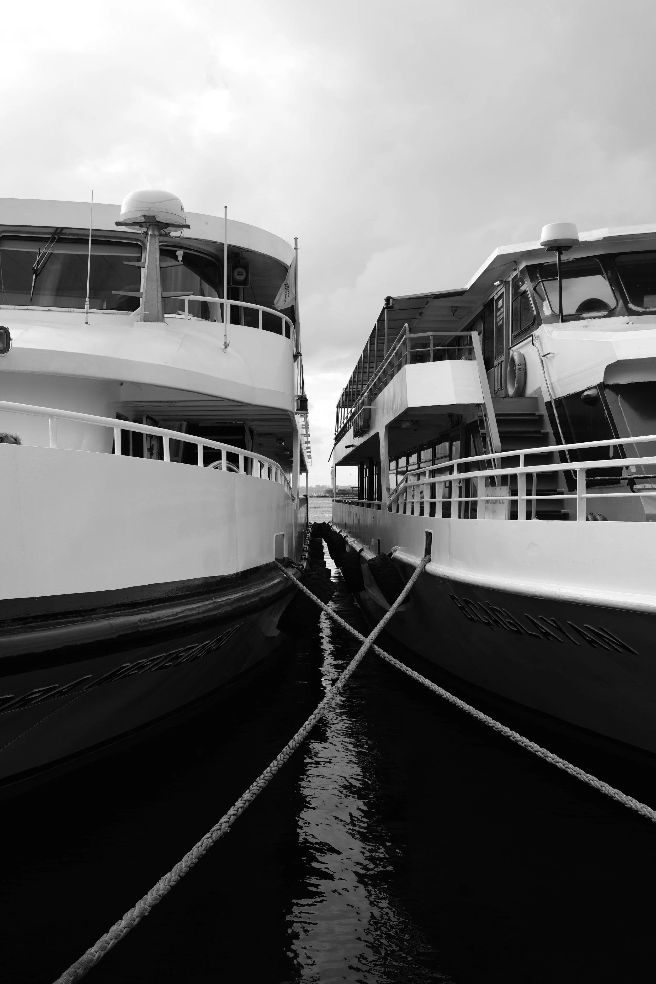 DSCF2336.JPG