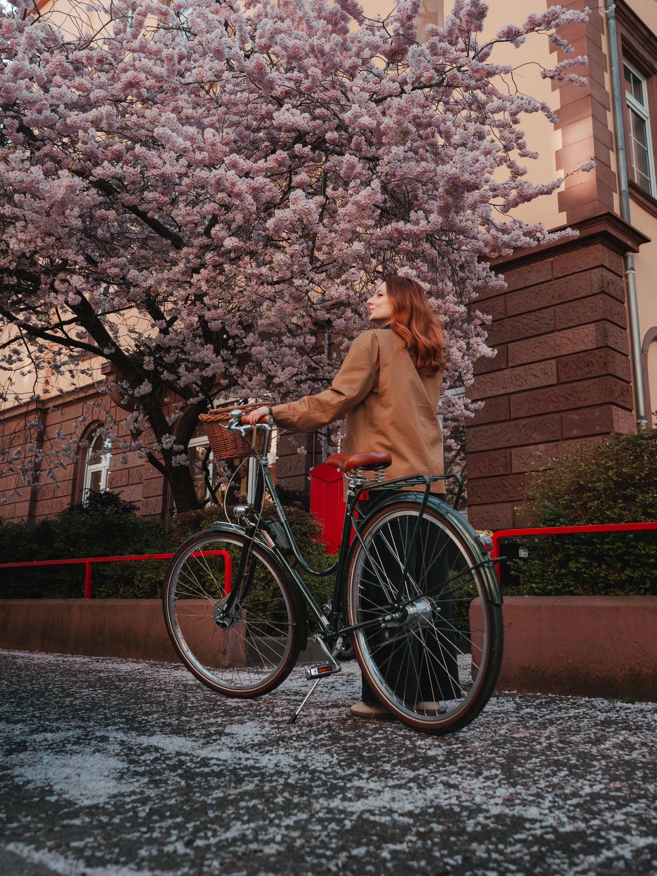 2026.03.22-A7403954.jpg