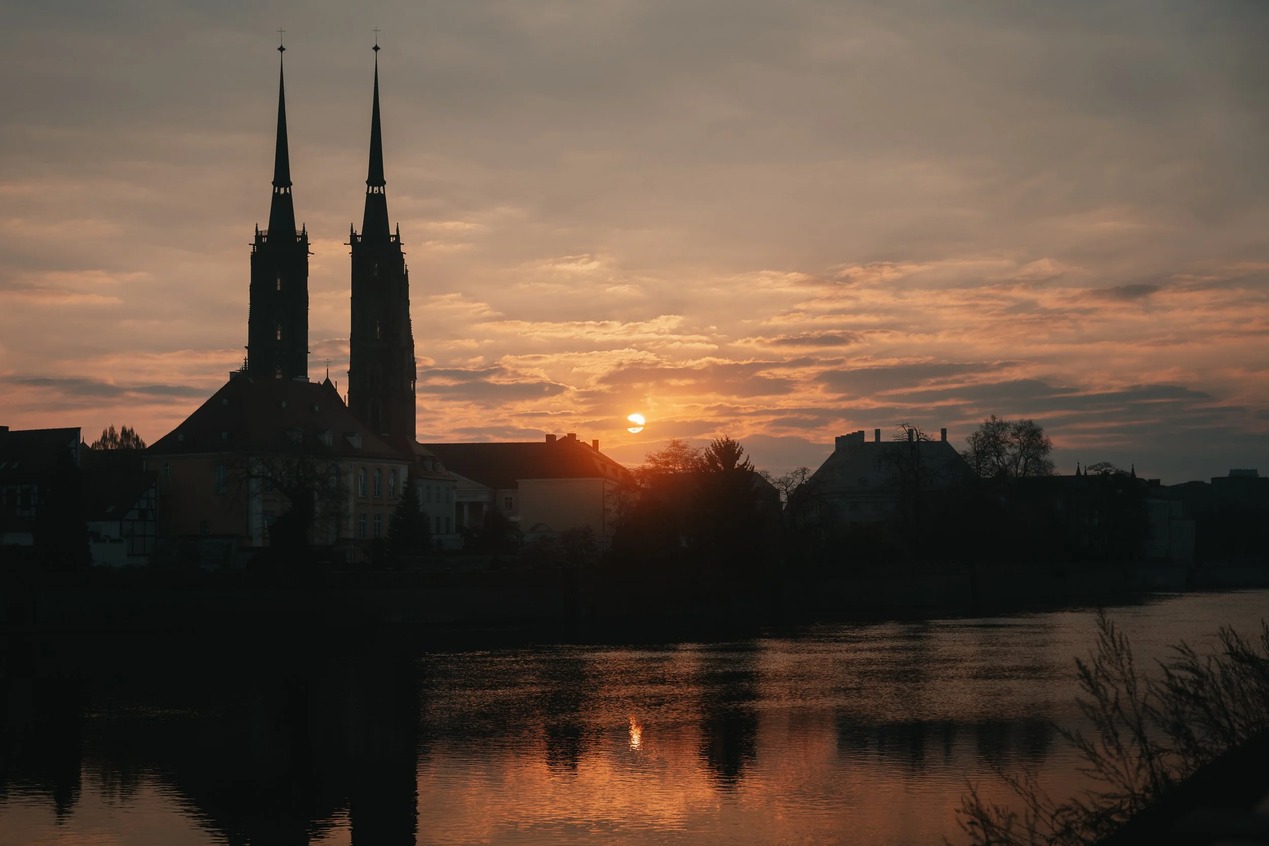 2026.04.11-A7405386.jpg