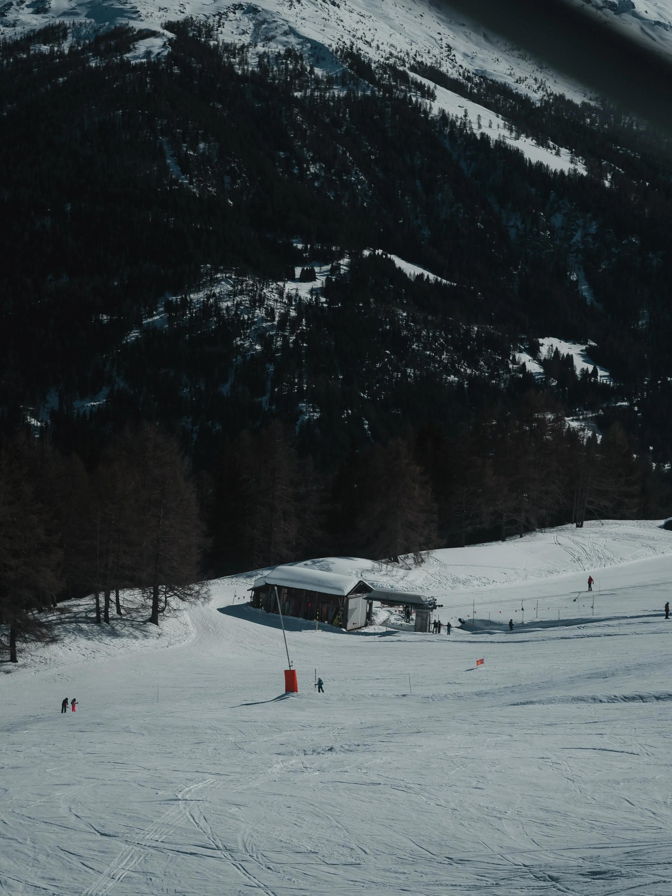 2026.02.26-A7401848.jpg