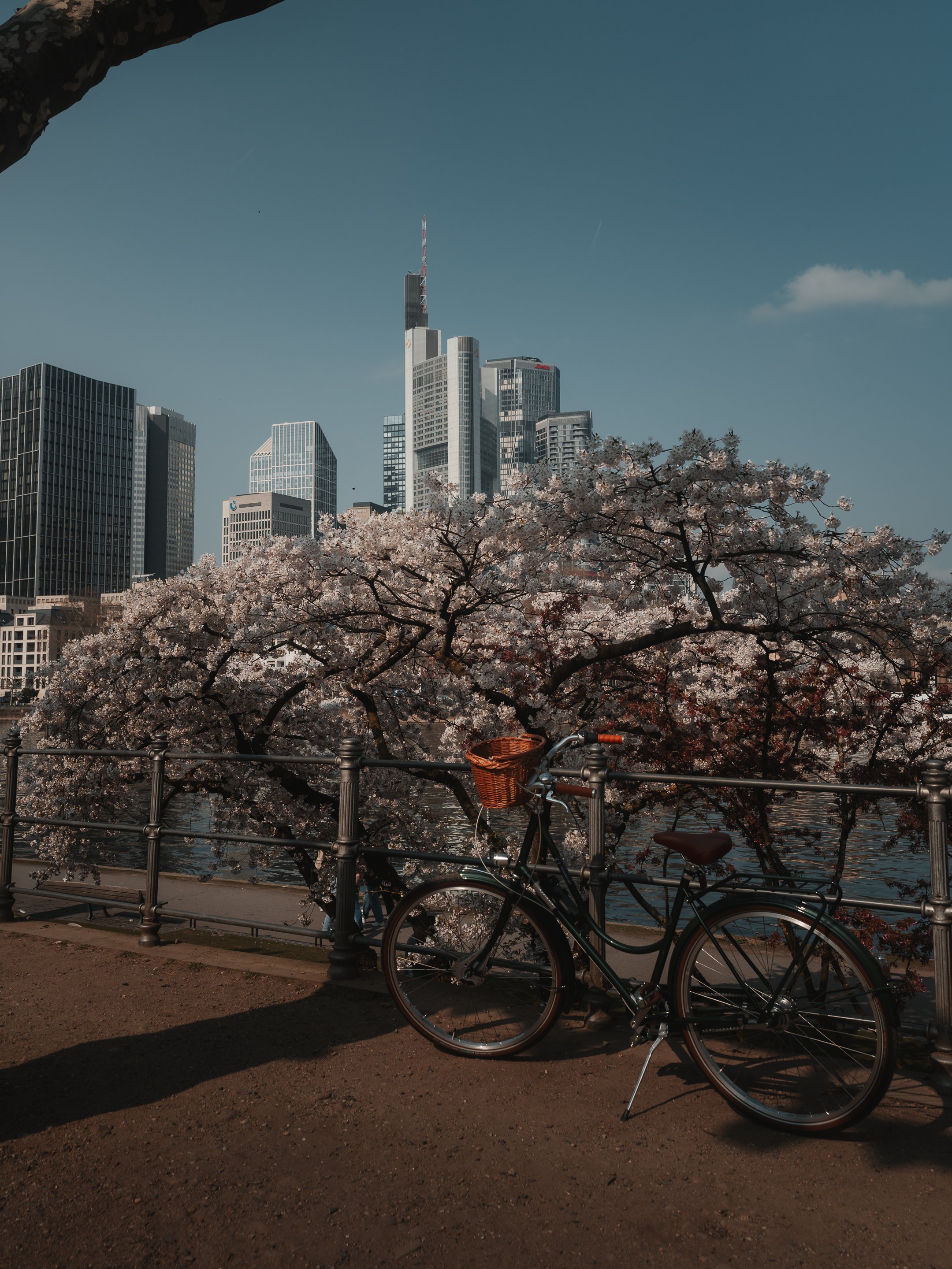 2026.03.21-A7403900.jpg