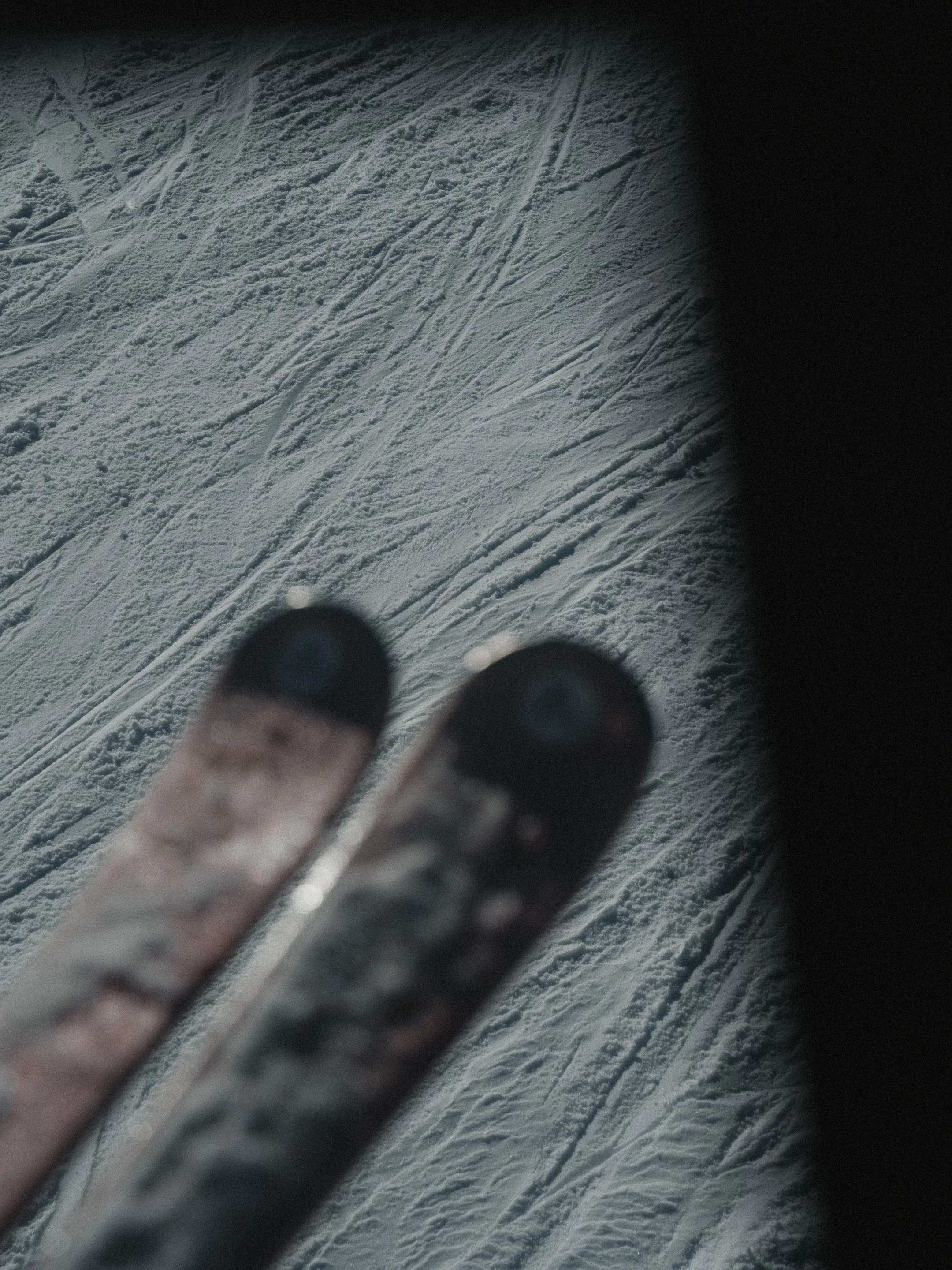 2026.02.27-A7402292.jpg