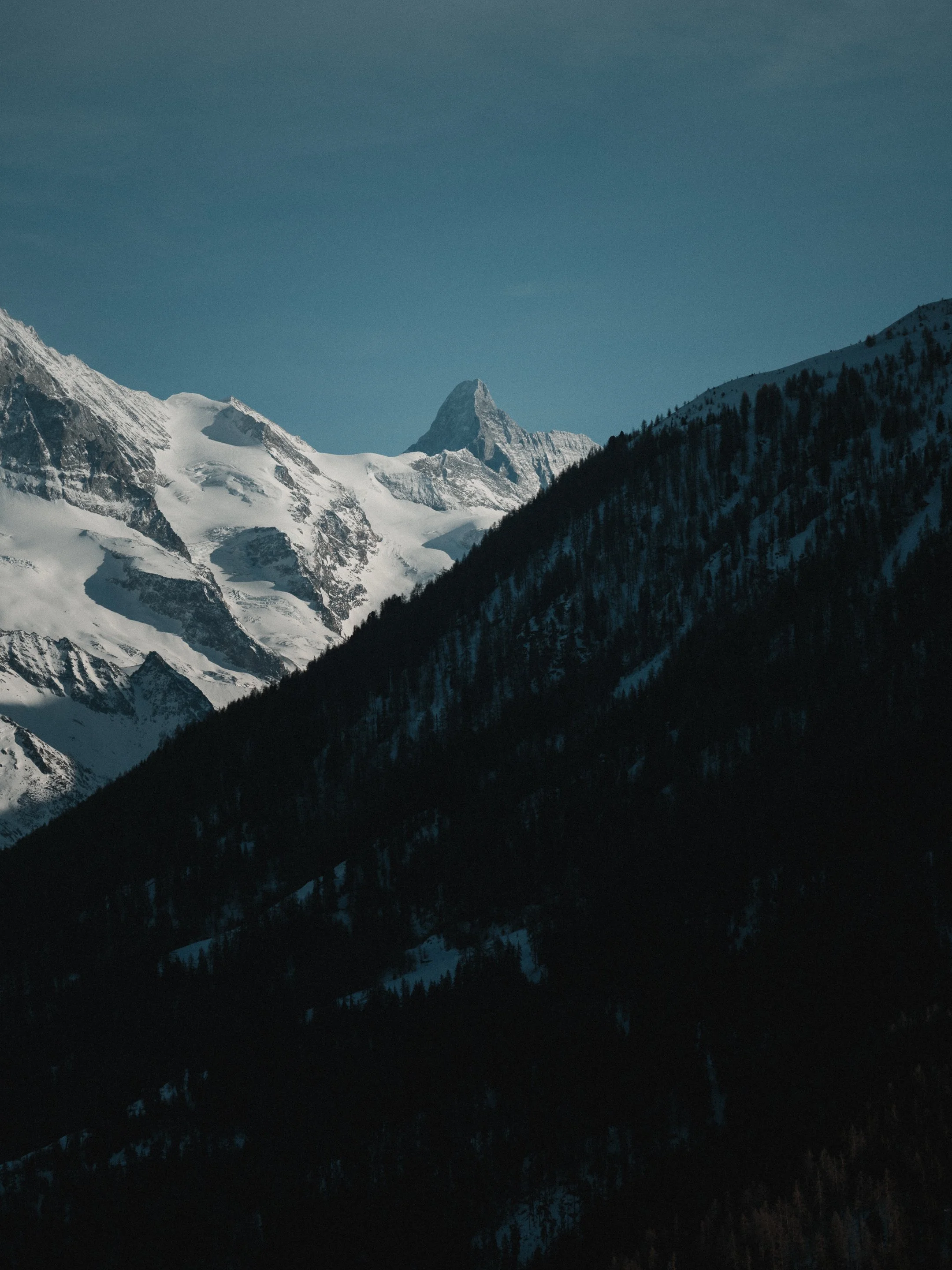 2026.02.24-A7401281.jpg