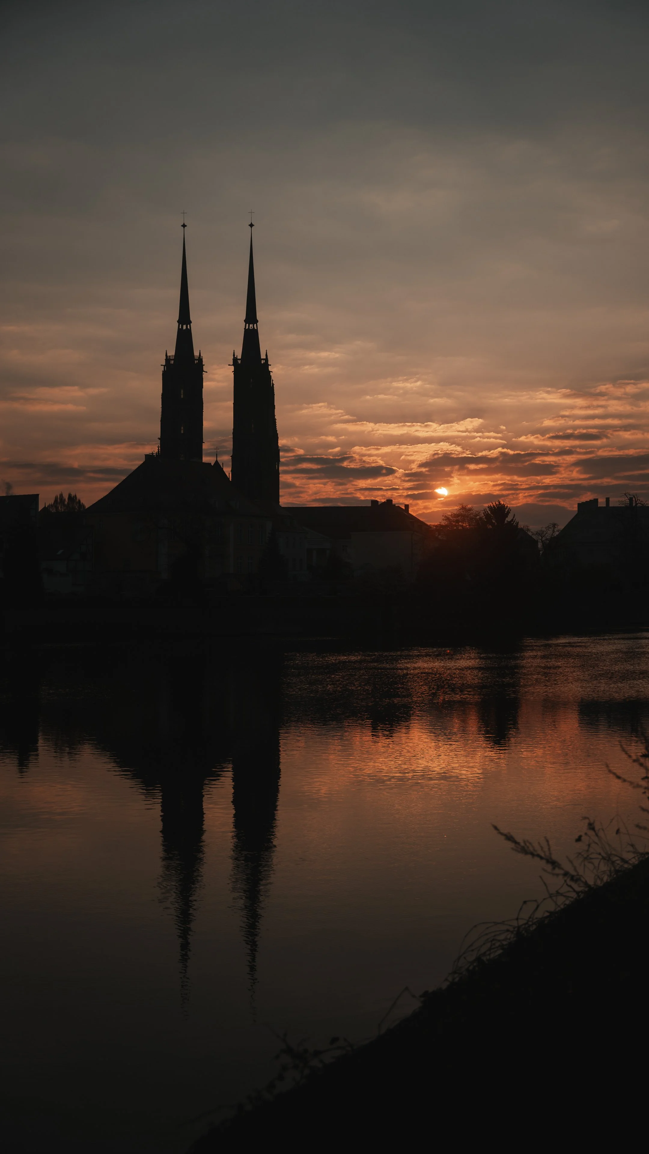 2026.03.22-A7405393.jpg