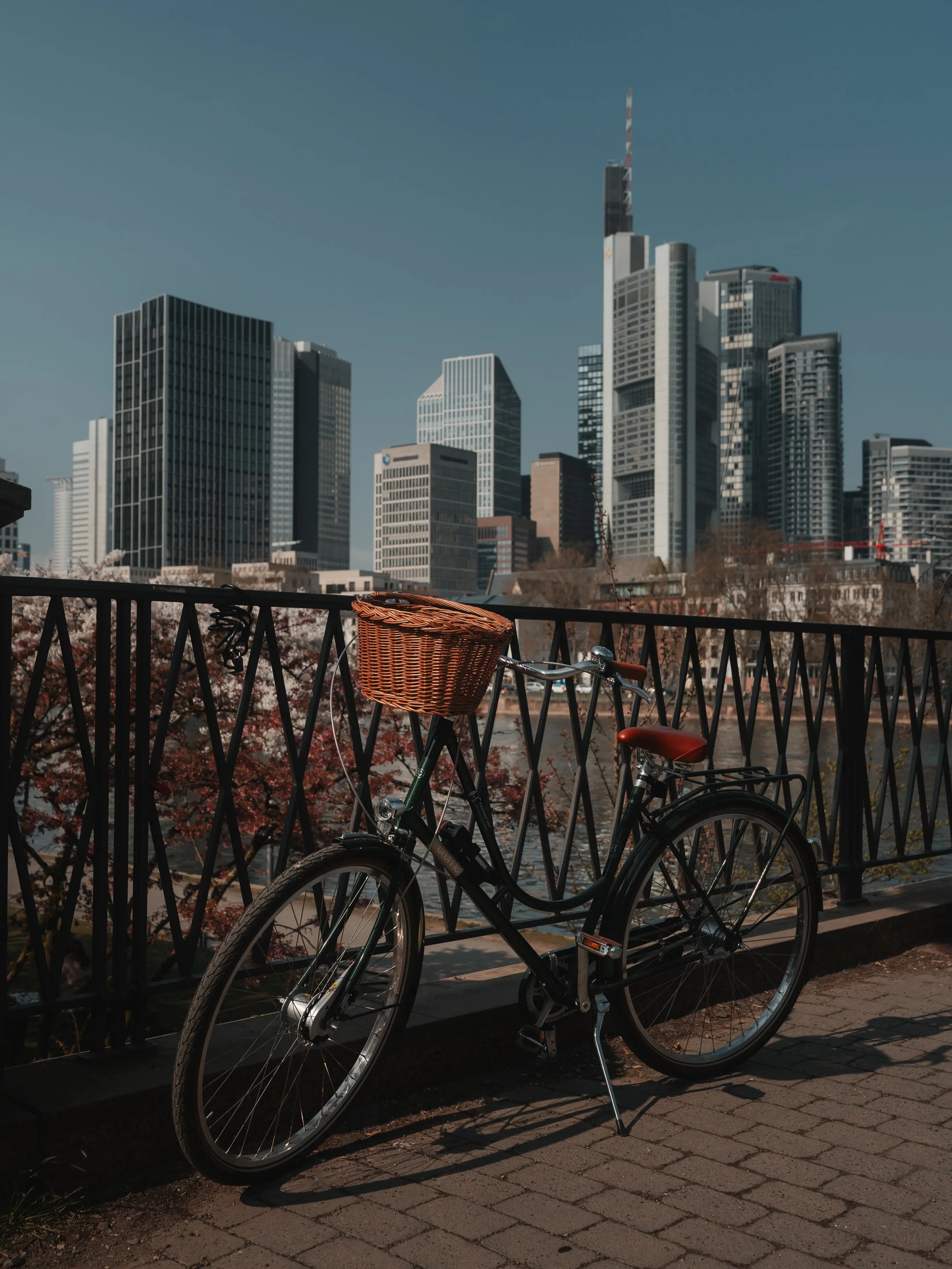 2026.03.21-A7403888.jpg