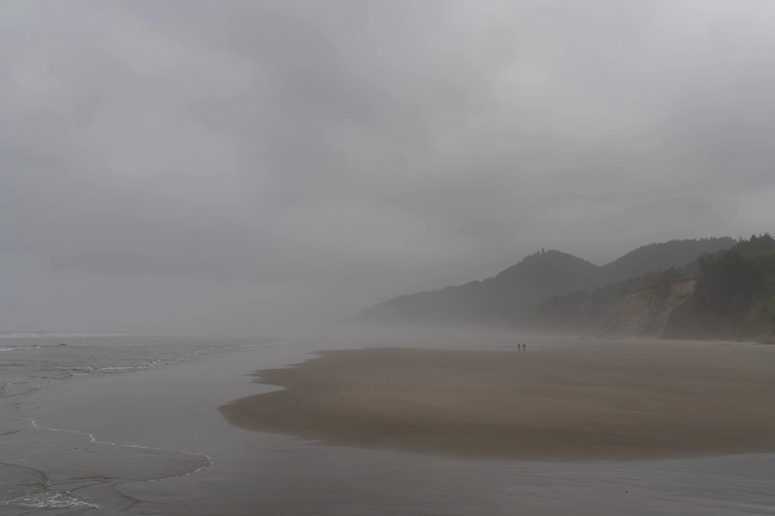 DSC02347.jpg
