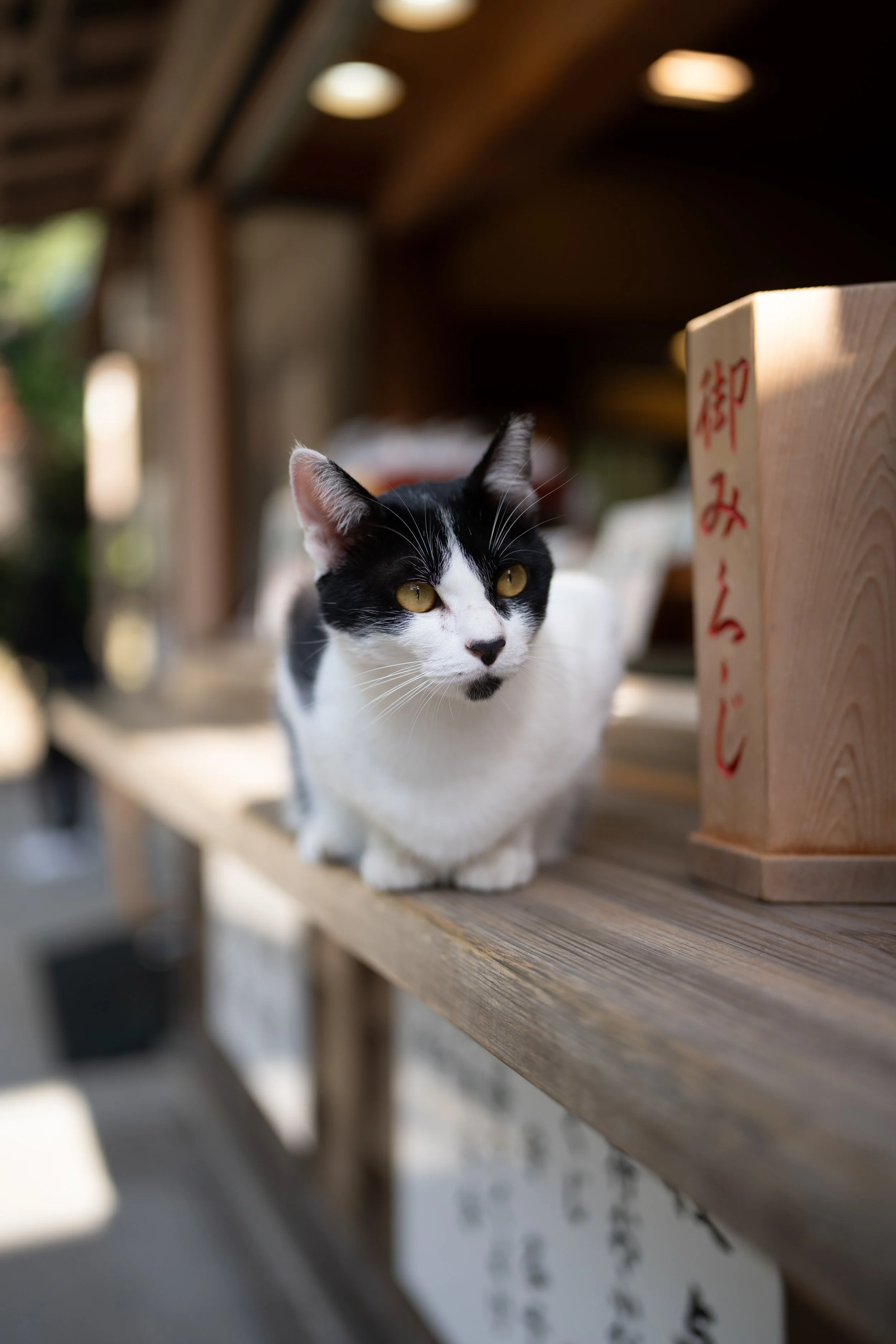 DSC06413-3.jpg