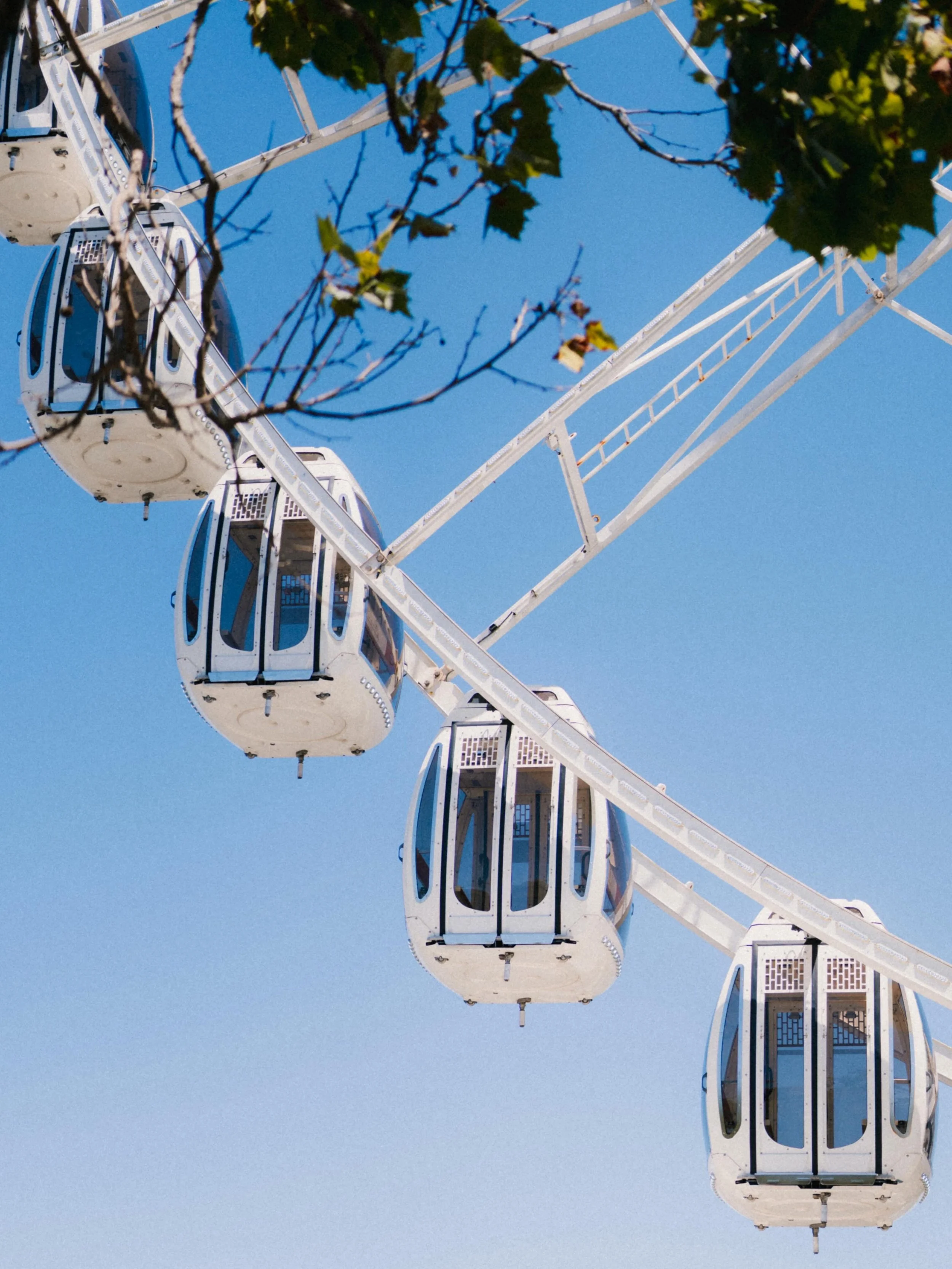 san francisco ferris wheel.jpg