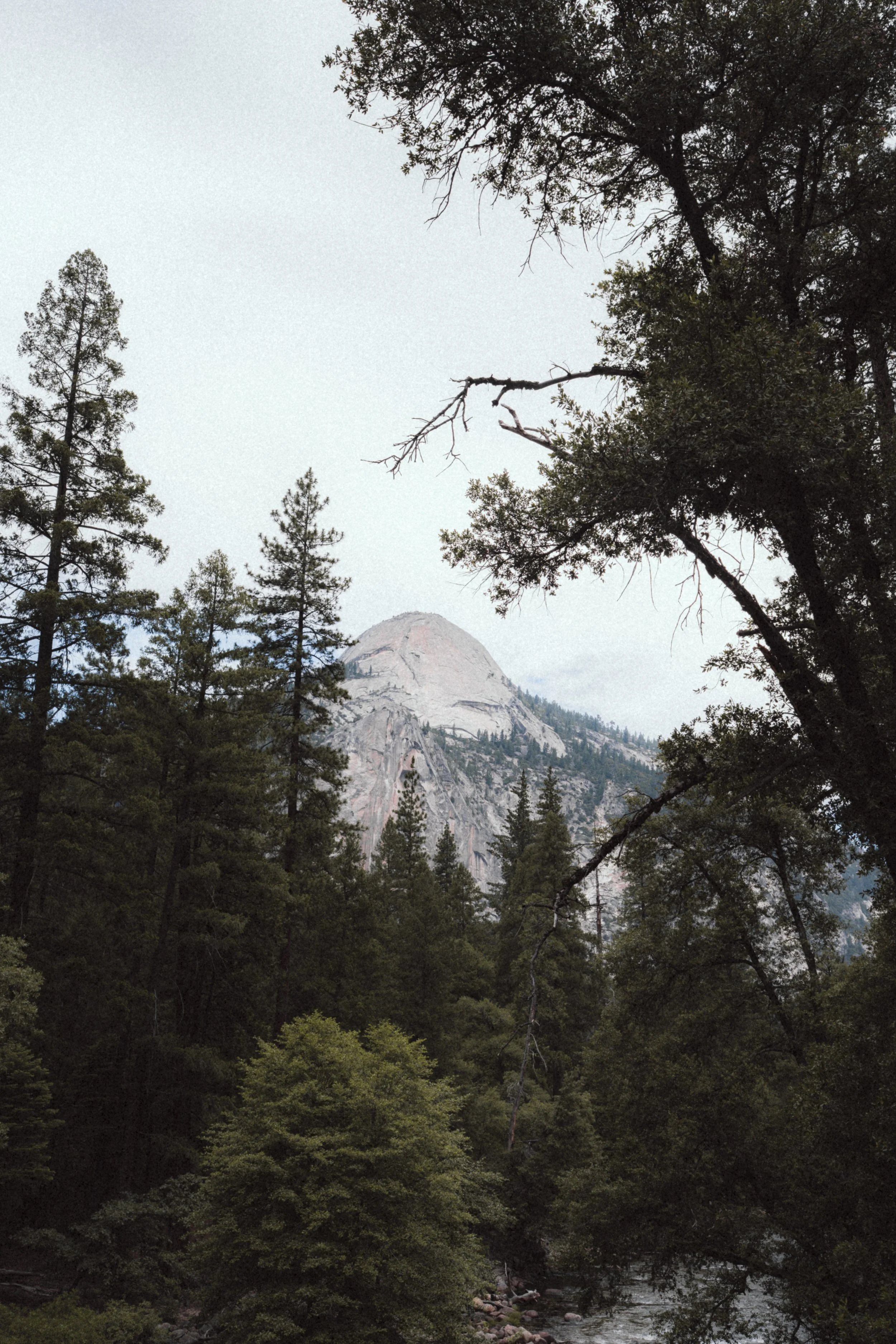 yosemite national park.jpg