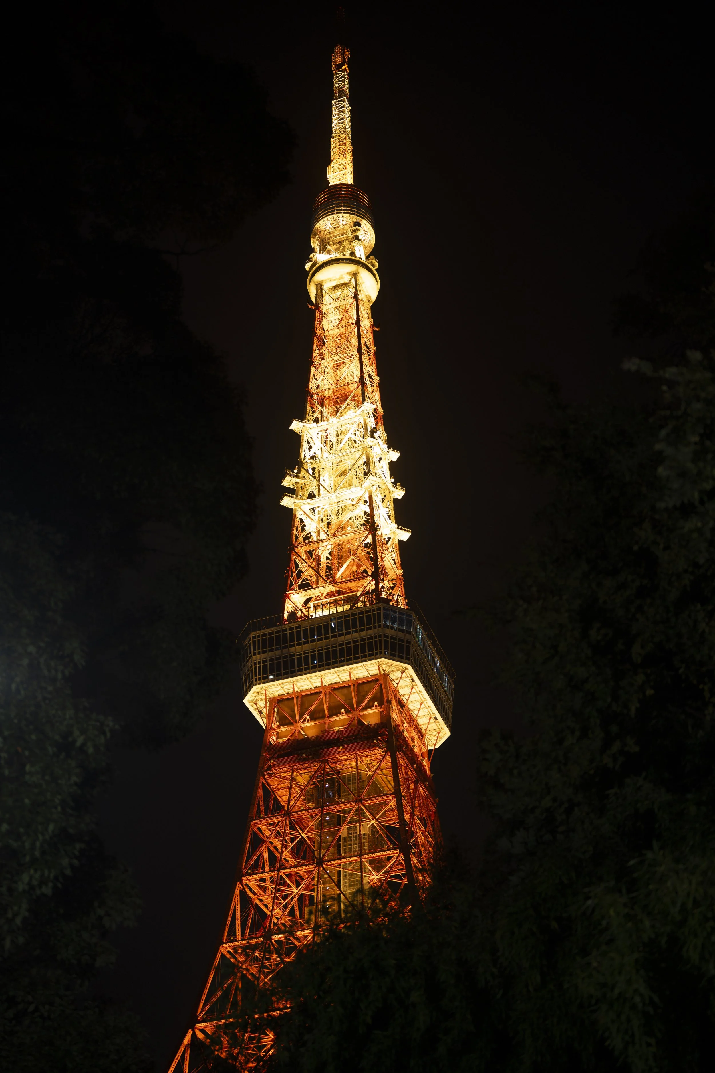 Night view of the Tokyo Tower illuminated in warm white lights, with dark night sky and trees surrounding the base.