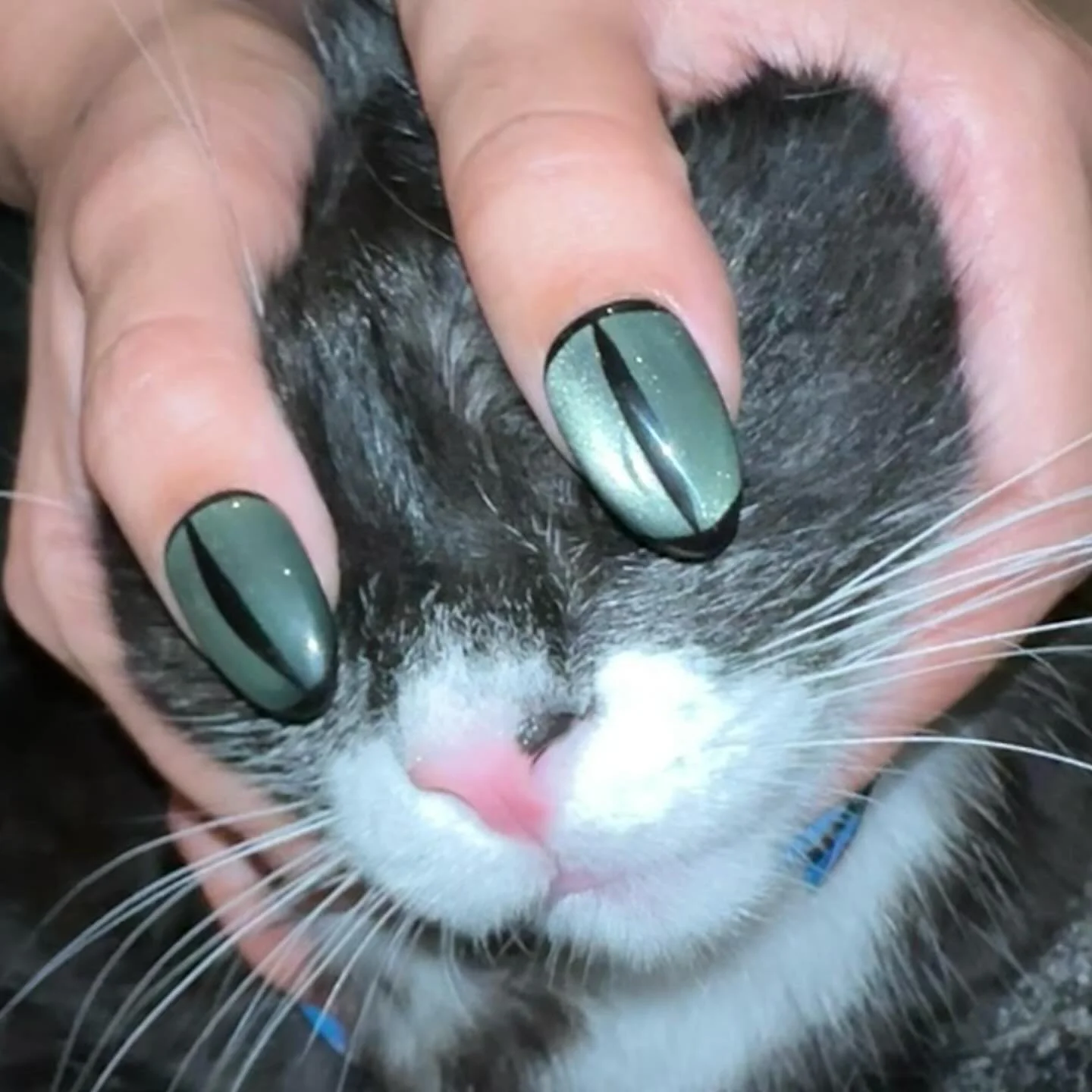 real or fake ? 

idea from @nicolenailedme &amp; @natanailz_

-
-
-
-

#gelnails #gelxnails #gelxapres #apresgelx #aura #apr&egrave;s #lanails #nails #nailsofinstagram #nailartist #3dnailart #handpaintednailart #nailart #nailinspo #nailsbyesco