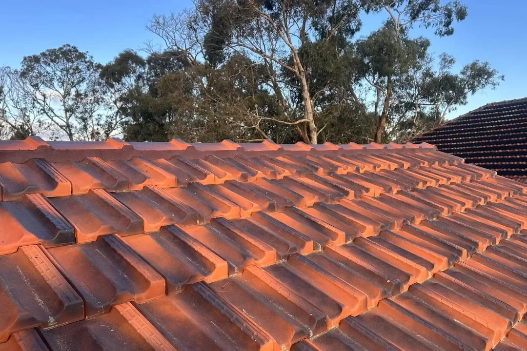 Roof Restoration Eltham