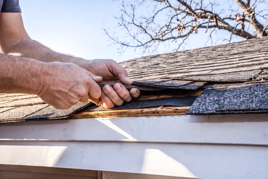 Roof Restoration South Morang