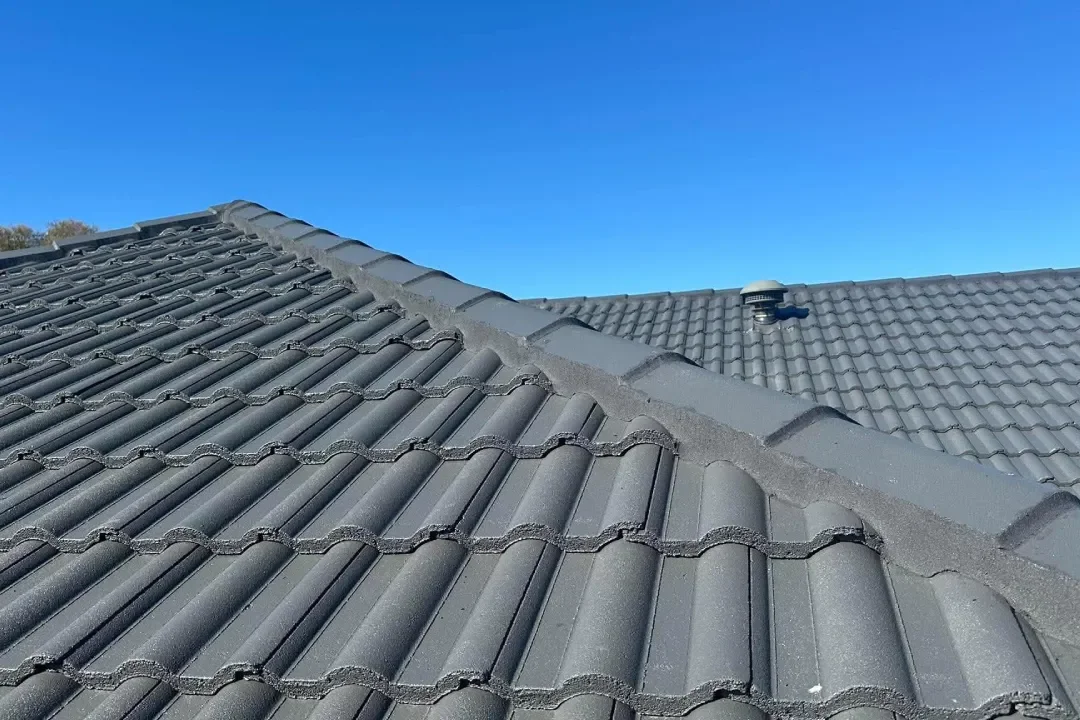 Roof Restoration Eltham