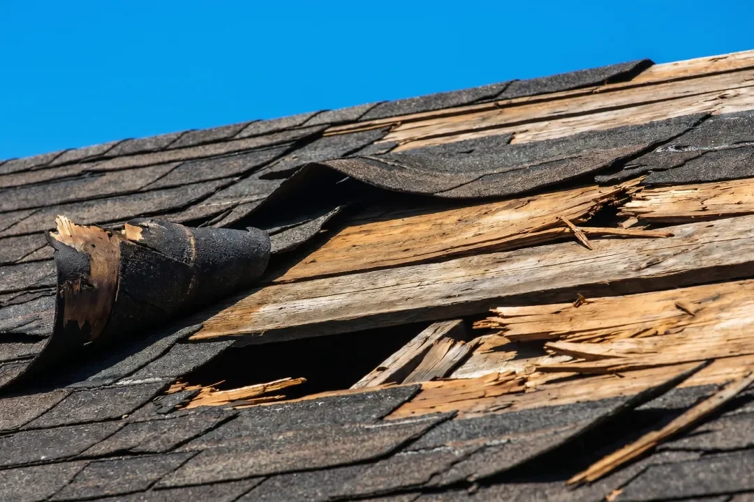 Roof Restoration Eltham