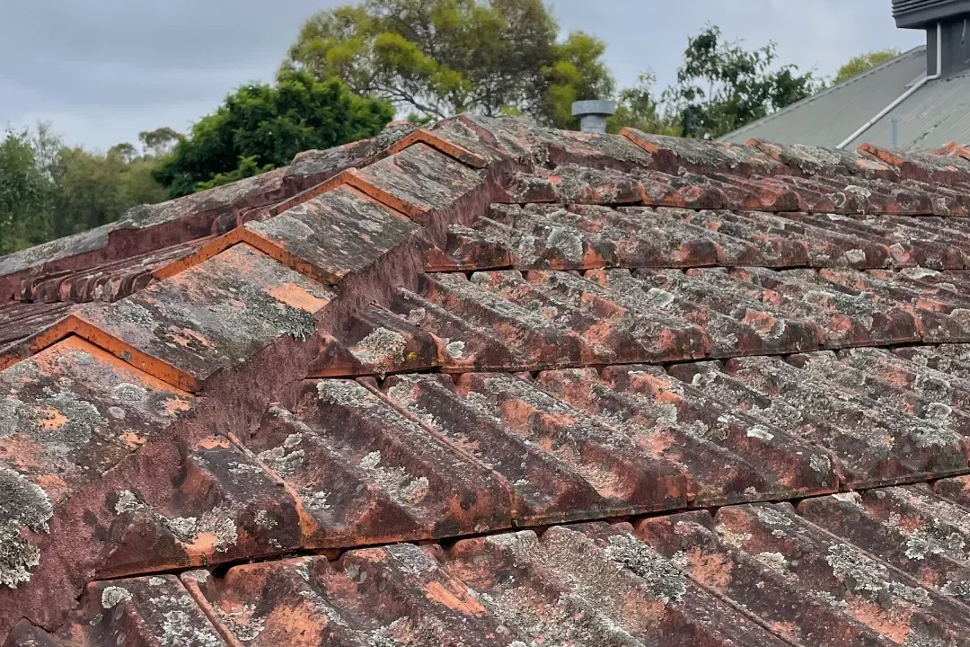 Roof Restoration Eltham