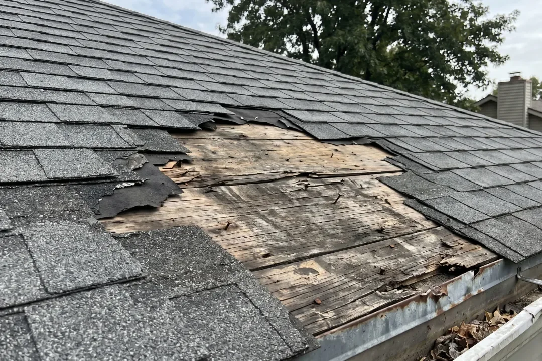 Roof Restoration Eltham