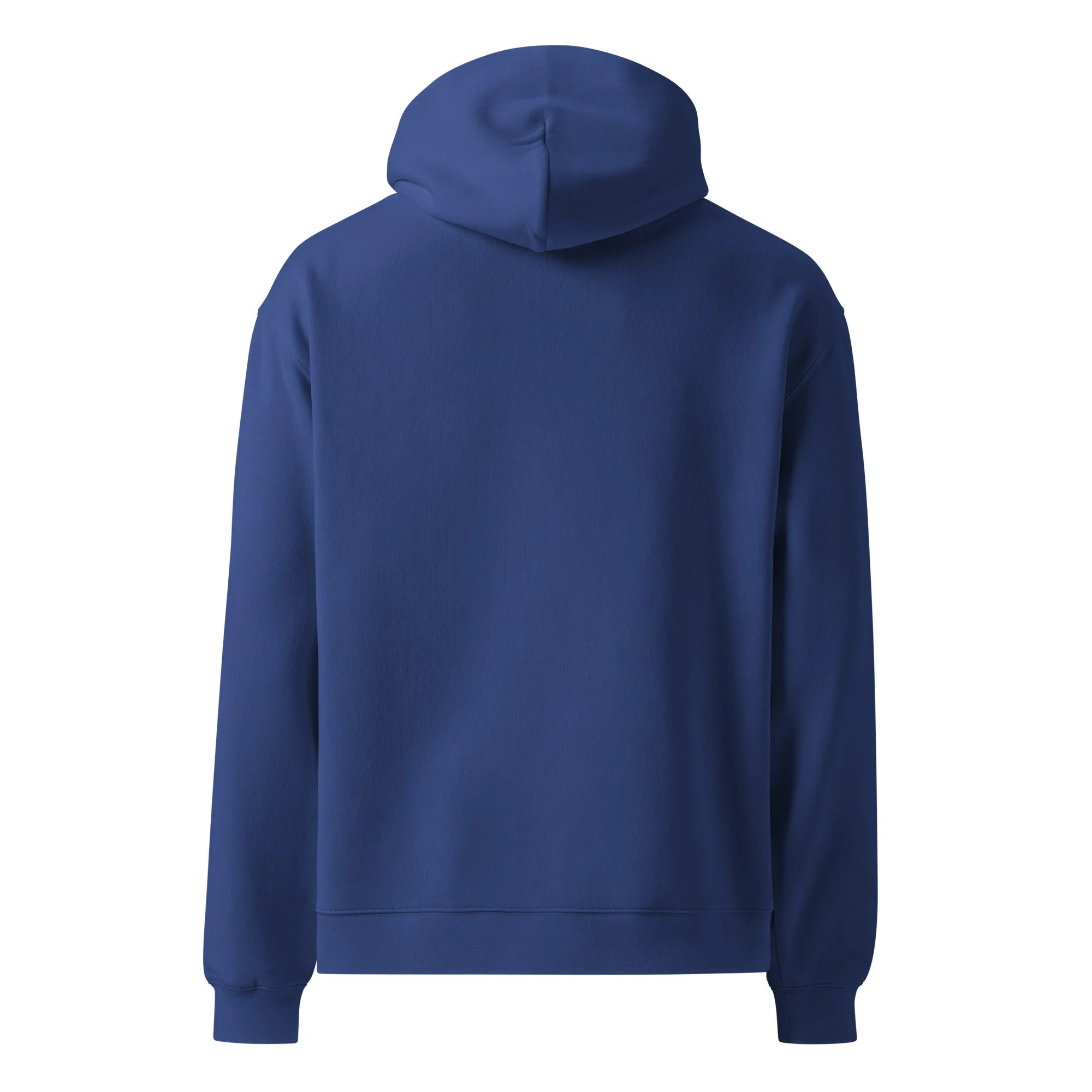 unisex-oversized-hoodie-cobalt-back-6894127d7d1be.jpg